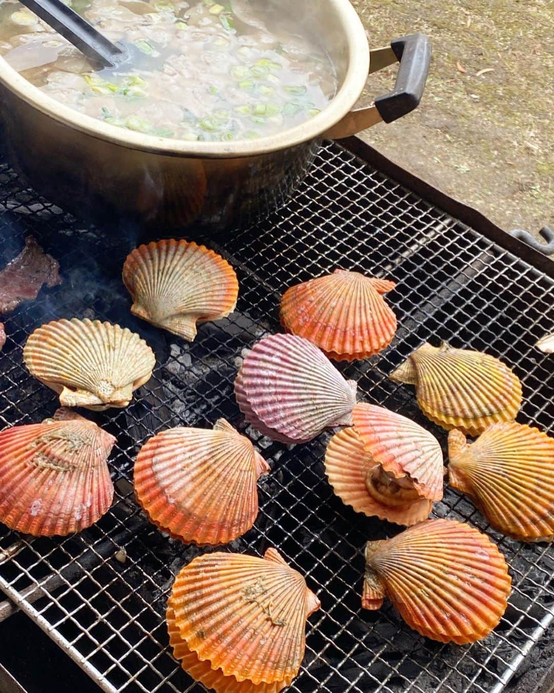 池尻和佳子さんのインスタグラム写真 - (池尻和佳子Instagram)「毎年お世話になっている堀川家の餅つき。 月9ドラマ「PICU」に出演していた俳優リョウタや横浜ベイスターズのピッチャー銀ちゃんにも会えて嬉しかったよ。  ビンゴ大会で当たったキャップかぶって来年は、横浜に応援に行きたいな。  #餅つき#師走#恒例#堀川家#皆さん#ありがとう #つきたて#最高#美味しい#よもぎ#なまこ#いちご #パイン大福#バーベキュー#ワイン#進みました #今年も#お世話になりました#ビンゴ大会#盛り上がる #銀ちゃん#横浜#応援#picu#鶴崎綾太 #2022#総括」12月30日 16時06分 - wakako_ikejiri_rkb