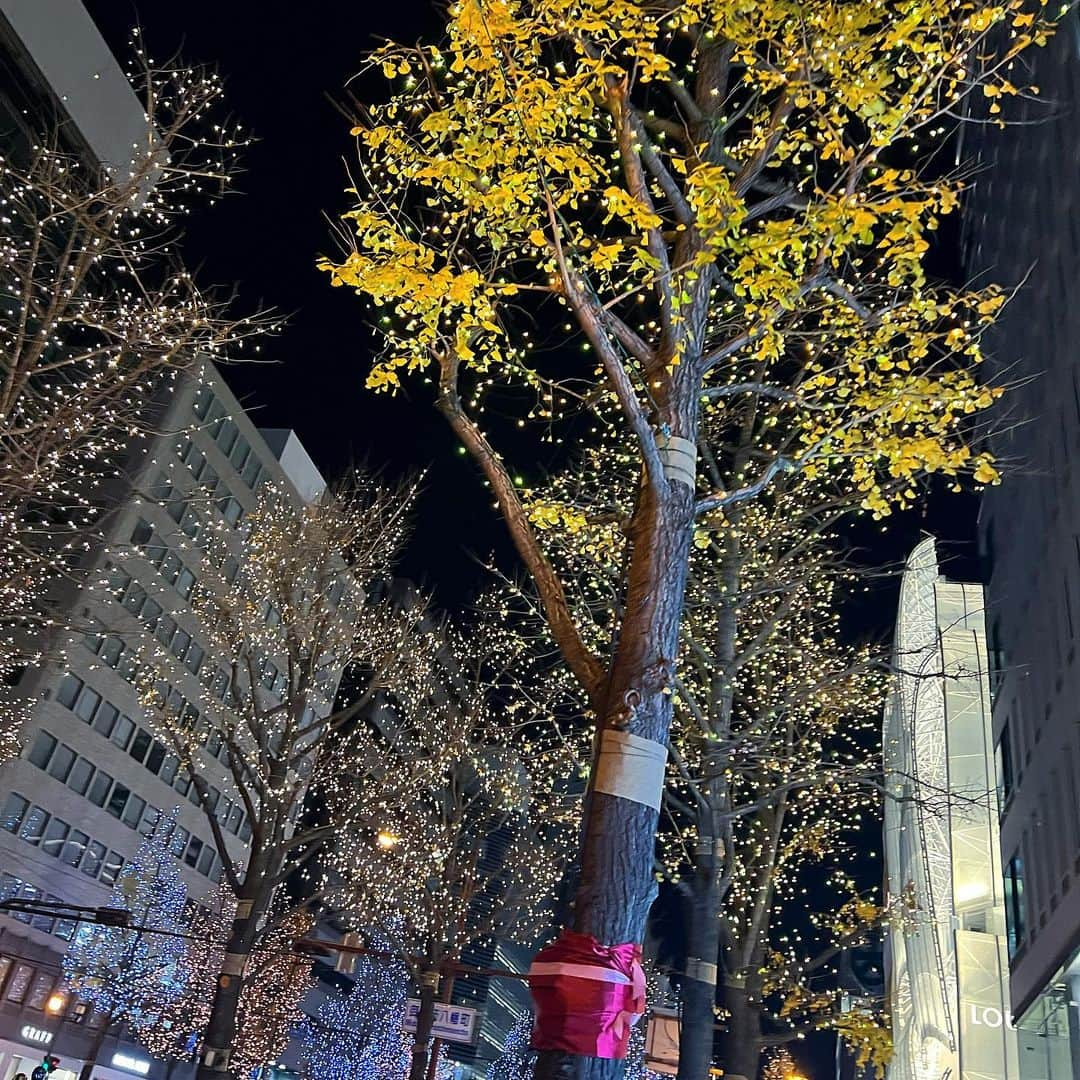 渋谷凪咲さんのインスタグラム写真 - (渋谷凪咲Instagram)「先日彩さんのライブを見に行かせて頂きました〜⚽️🌈（サッカーボールの意味はMCを聞いた人なら分かるアイテムです！笑）  改めて、、、彩さん大好きです！！！笑笑  もうカッコ良すぎました、、、 ライブ中何度、痺れたことか😢  見ているうちに、NMB48の先輩という目線が消え、アーティスト山本彩さんに惚れ惚れしてしまっていました😢感動したなあ。。✨  そして彩さんがとっても元気で楽しそうで、なんだか見てるこっちまで元気になって嬉しくもなりました🥰笑  そしてライブ前と終わりにご挨拶させて頂いたんですが、そこでは当時と変わらない彩さんで、優しい目で優しい言葉をかけて下さりとっても嬉しかったです🥺自分の活動を真っ直ぐ頑張ろうと思えました！そしたらその先には彩さんのような未来が待っているのかなって🌈当時も今も、私は彩さんの背中を追い続け、尊敬させて頂けることをとっても幸せに思います☺️身近にこんなに素敵な方が居てくださる環境に感謝ですね！  彩さん、本当にお疲れ様でした！ そしてファンの皆さんの事を愛し、 愛されている空間がとっても素敵でした♡ 私もその一員になれたことがとっても嬉しかったです☺️  #山本彩 さん #zeppnamba #大好きな曲 #あいまって。 #喝采 #レインボーローズ #聞けて嬉しかったなあ🌼 #帰りは彩さんの曲を聴きながら #歩いて帰る御堂筋線が最高でしたよ🎄」12月30日 20時07分 - nagisa_nikoniko