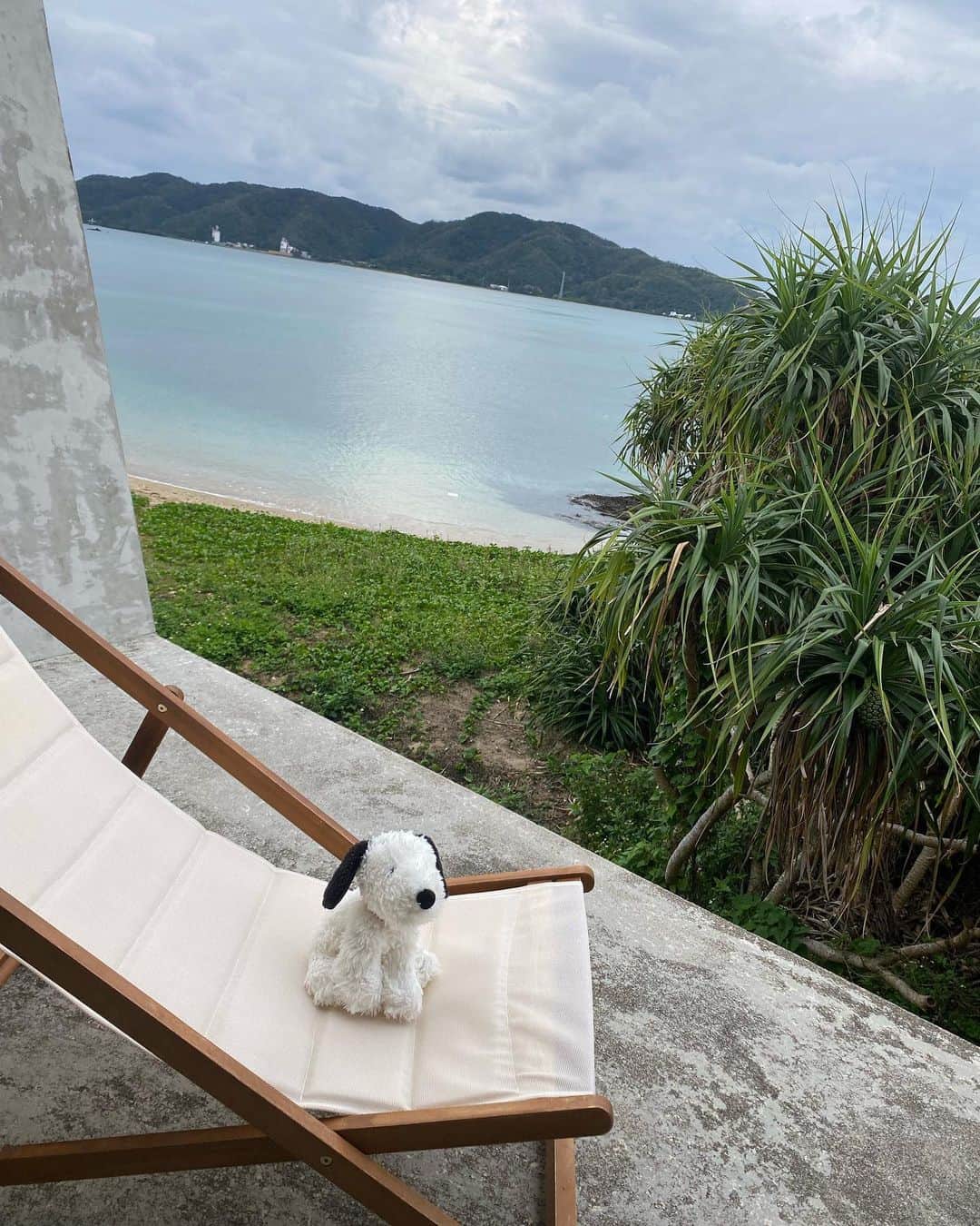 黒澤詩音さんのインスタグラム写真 - (黒澤詩音Instagram)「#奄美大島 🏝  お休みをいただいて、島旅へ。  旅行中は、原田マハさんの"さいはての彼女"をお供に。 本と共に旅する幸せ。  30歳を迎えるまでにしたいことの一つだった一人旅。  したいと漠然と思っていたけれど、踏み切るきっかけがずっとなかったのですがいいものでした。同じように思いながらも行動に移せてない方がいたら是非。  地方ロケへ行くと1人で観光とかする派ではあったのですが、1人で島はまた違った経験！  1ヶ月に3日ほどしか、晴れないような季節にすっかり晴れてるのは島に迎えられてるんだよと言われて幸せな気持ちに。  ガイドさんをお願いしたので島を満喫しつつ、海と星空と自然の力でリフレッシュ。 島についてから思いつきでガイドさんに頼んだのですが素敵な島んちゅの方で色々島について学ばせていただきました✨ 同じガイドさんに頼んでた1人旅同士みんなでランチもしたり、島んちゅの温かさを感じましたよ。  ひとり旅はメンタルを高めるとも言われています。  自己肯定感を養い、自分自身のアップデートになる時間でした。 自然の中に身を置くことがやはり私にとって大切な時間！  私の大好きな茨木のり子さんの詩に、  ぱさぱさに乾いてゆく心を ひとのせいにはするな みずから水やりを怠っておいて  という一節があります。 まさに心に水やりをするような、自然の中で自分との対話時間になりました🌙  #奄美大島 #trip #amamioshima #amami #一人旅 #一人旅女子  #マングローブカヌー #sup #旅行」12月31日 12時02分 - shionkurosawa_official