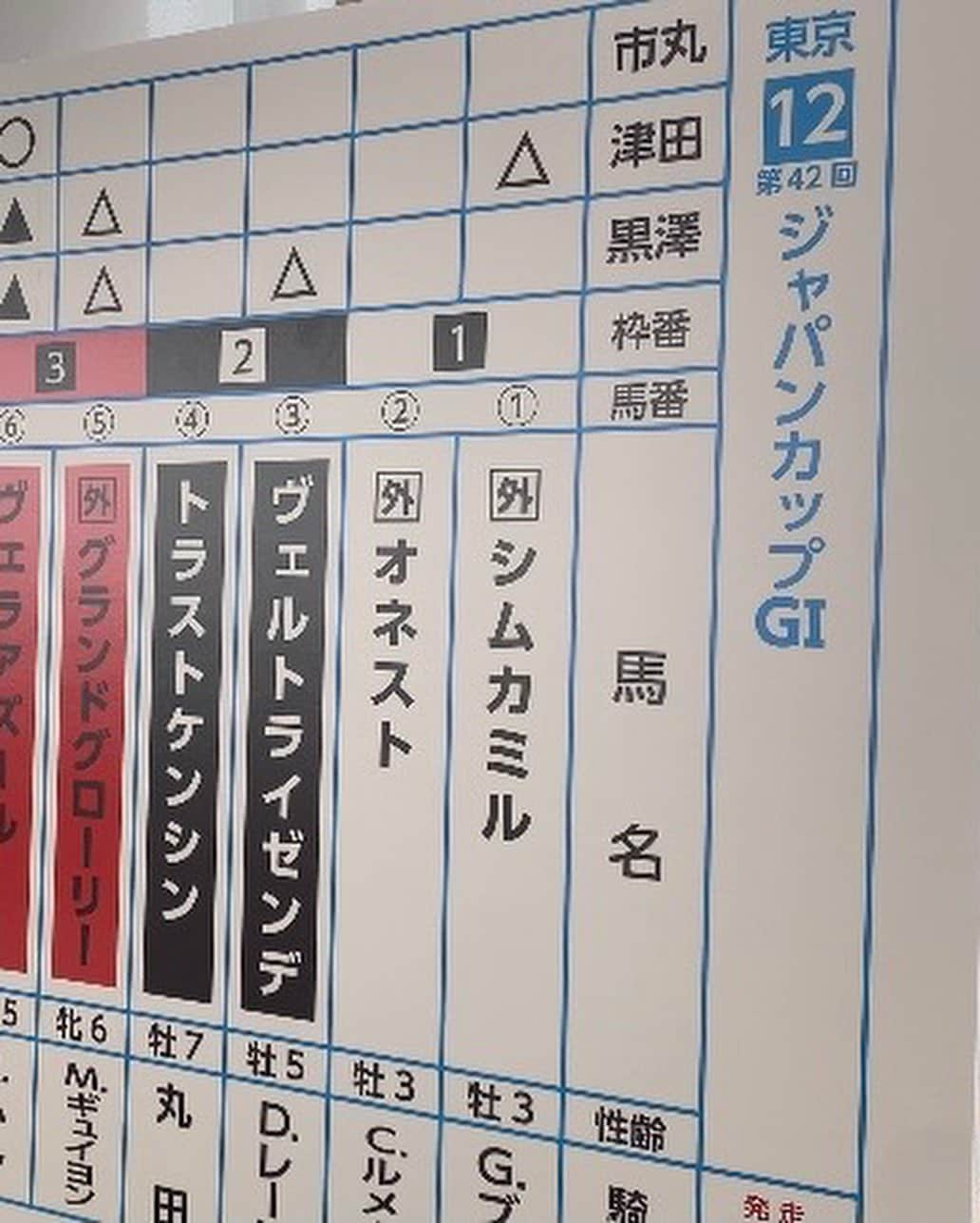 黒澤詩音さんのインスタグラム写真 - (黒澤詩音Instagram)「熊本出張🐻  今年は、岡山、京都、富山など コロナ前のように出張が戻ってきました。  #ジャパンカップ の予想イベントの為の熊本入りだったのですが、友人が出張についてきてくれて！❣️ 充実の熊本出張になりましたよ。  前泊日は、熊本グルメに舌鼓！ 翌朝は早起きして、熊本城へ🏯  別名、銀杏城🏯とも呼ばれる 熊本城前の大銀杏が見頃を迎えていました。 清正公の集大成とも言われている熊本城は雄々しくも壮麗で、銀杏と青空とのコントラストがこれまたいとをかし。  現在もなお復旧工事が続く熊本城。 晩秋の日曜日、多くの人で賑わっていましたよ。  熊本銘菓のお土産たんまりいただいて、 東京でも熊本気分でした🧸  #出張 #熊本 #熊本旅行 #城 #castle  #城巡り #trip #国内旅行 #日本の城」12月31日 12時23分 - shionkurosawa_official