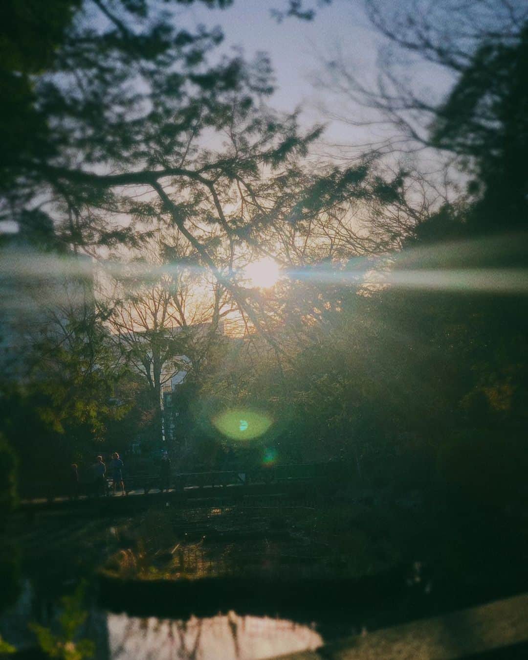吉岡里帆さんのインスタグラム写真 - (吉岡里帆Instagram)「2022年も沢山の愛情を頂きありがとうございました。  お返しができるように来年も仕事に燃えます。  良いお年を🐰  #❤︎ #日日」12月31日 22時09分 - riho_yoshioka
