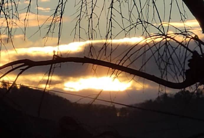 ひまわりちゃんねるさんのインスタグラム写真 - (ひまわりちゃんねるInstagram)「明けましておめでとうございます！ 今年もよろしくね🤗 みんなで初日の出見たよ〜🌄 雲が掛かってて見えづらかったけど、太陽に照らされた雲の色がキレイでした✨ 今年も頑張るぞ〜💪」1月1日 8時42分 - himawari_ch