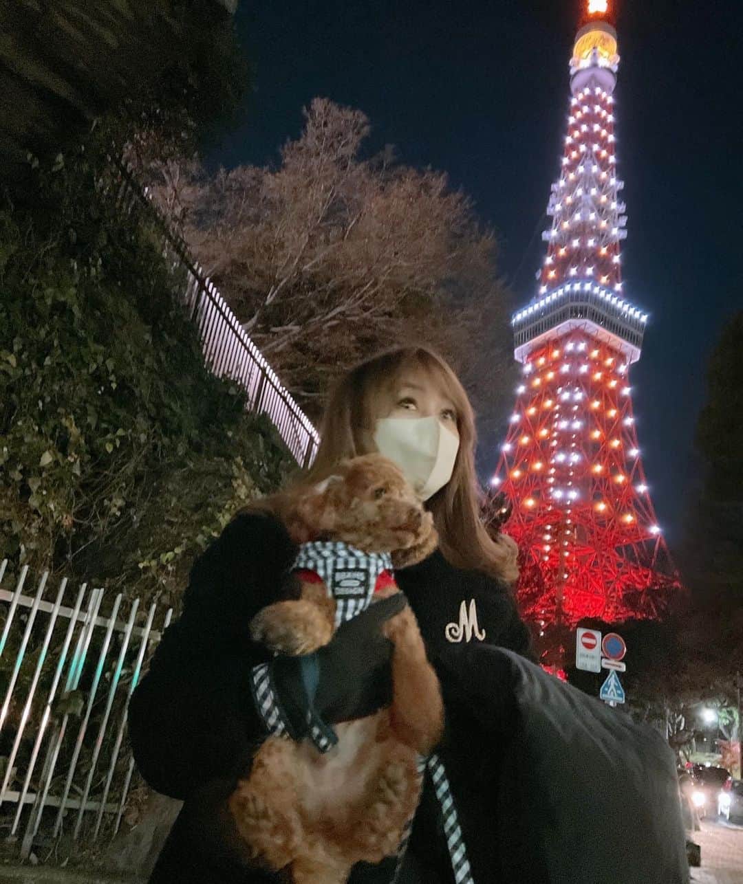 渡辺美奈代さんのインスタグラム写真 - (渡辺美奈代Instagram)「夜散歩  #お散歩 #わんこと一緒 #お正月」1月1日 20時19分 - watanabe_minayo