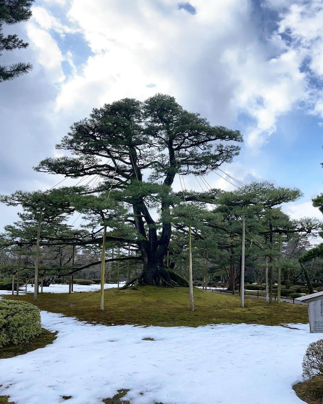 池尻和佳子さんのインスタグラム写真 - (池尻和佳子Instagram)「新しい年を金沢で迎えました。名庭•兼六園で緑に癒され、雪を眺めながらの熱燗も乙でした。 今年も清美先生と美味しいものを食べ、しっかりトレーニングして健やかな1年にしたいものです。  今年もよろしくお願い致します。」1月2日 7時25分 - wakako_ikejiri_rkb