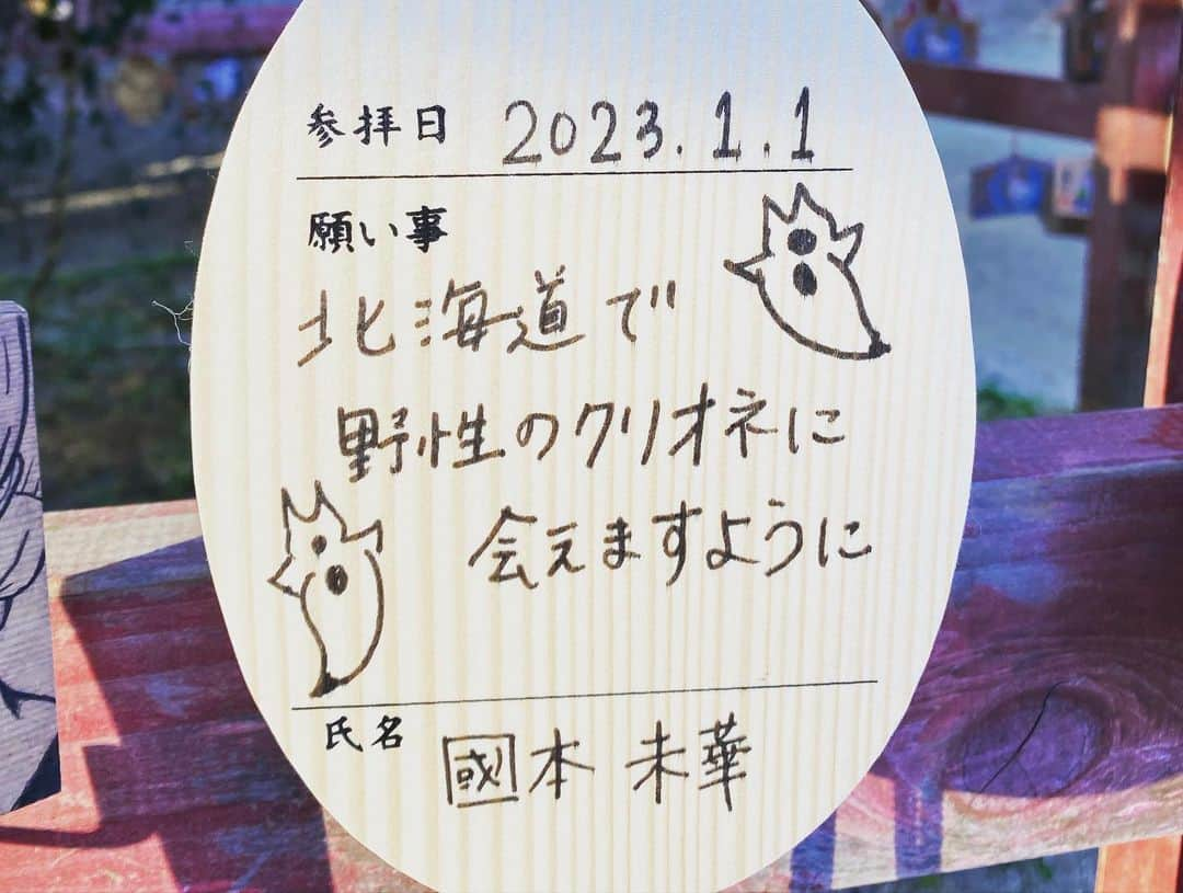 國本未華さんのインスタグラム写真 - (國本未華Instagram)「明けましておめでとうございます🎍 初日の出とともに中継のお仕事でした。 ウサギと縁が深い大洗磯前神社では、ウサギの絵馬にお願いごと。 神様が降り立ったとされる神磯の鳥居は神々しく、初日の出の中継ハプニングで慌てた気持ちを癒してくれました。 今年もどうぞよろしくお願い致します🐰  #初日の出 #開運初日の出sp #大洗 #大洗磯前神社 #神磯の鳥居」1月2日 8時54分 - kunimoto_mika