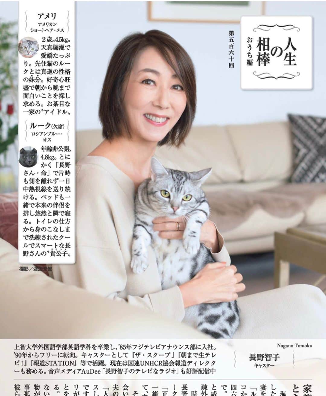 長野智子さんのインスタグラム写真 - (長野智子Instagram)「昨年の週刊現代。講談社の渡辺允俊カメラマンに撮っていただきました。  幸せの招き猫ということで新年に🐱w  惜しくも掲載を逃したルーク🐈‍⬛は、人見知りなので撮影も難しいかと思っていたのですが、さすが猫を撮り慣れているカメラマン📸　記念に現像してくださいました。ありがとうございます。  今年も健康で穏やかな日々を一緒に送れますように☺️  #ルーク #アメリ #猫 #招き猫」1月2日 9時49分 - naganotomoko