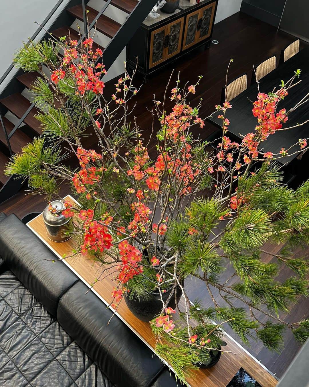 滝沢眞規子さんのインスタグラム写真 - (滝沢眞規子Instagram)「お花がとても綺麗に咲いたので色々な角度からおさめておこうと思います✨☺️ #myhome #2023」1月2日 12時20分 - makikotakizawa