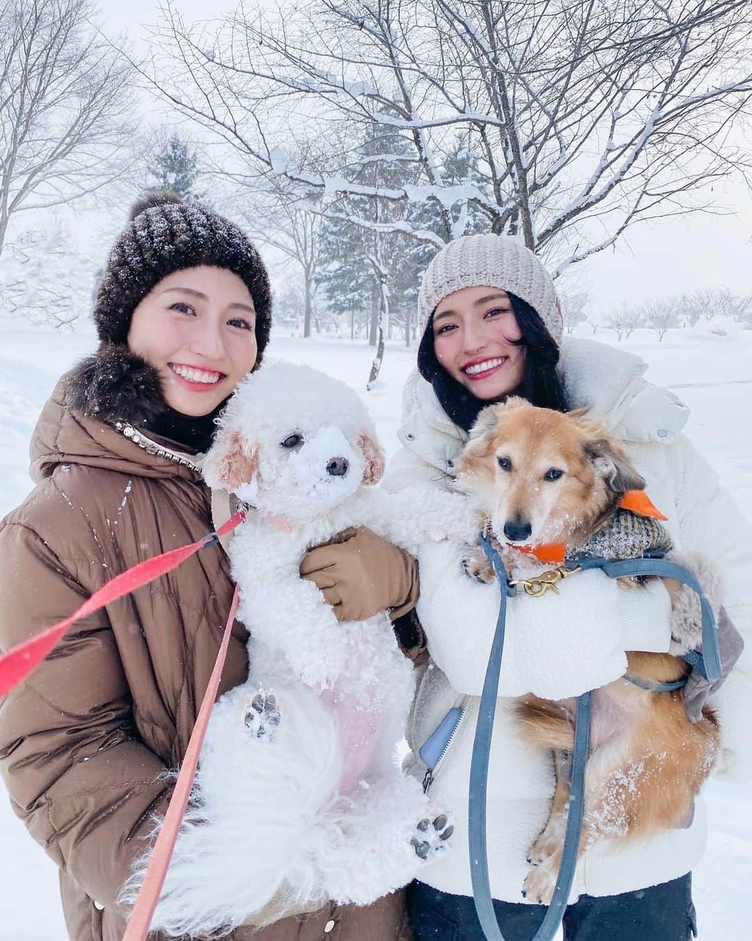 山賀琴子さんのインスタグラム写真 - (山賀琴子Instagram)「一日遅れましたが、明けましておめでとうございます！  今年も笑顔溢れる一年にしましょう😊✨  旭川は今日も雪でした☃️  #2023」1月2日 18時28分 - kotokoyamaga
