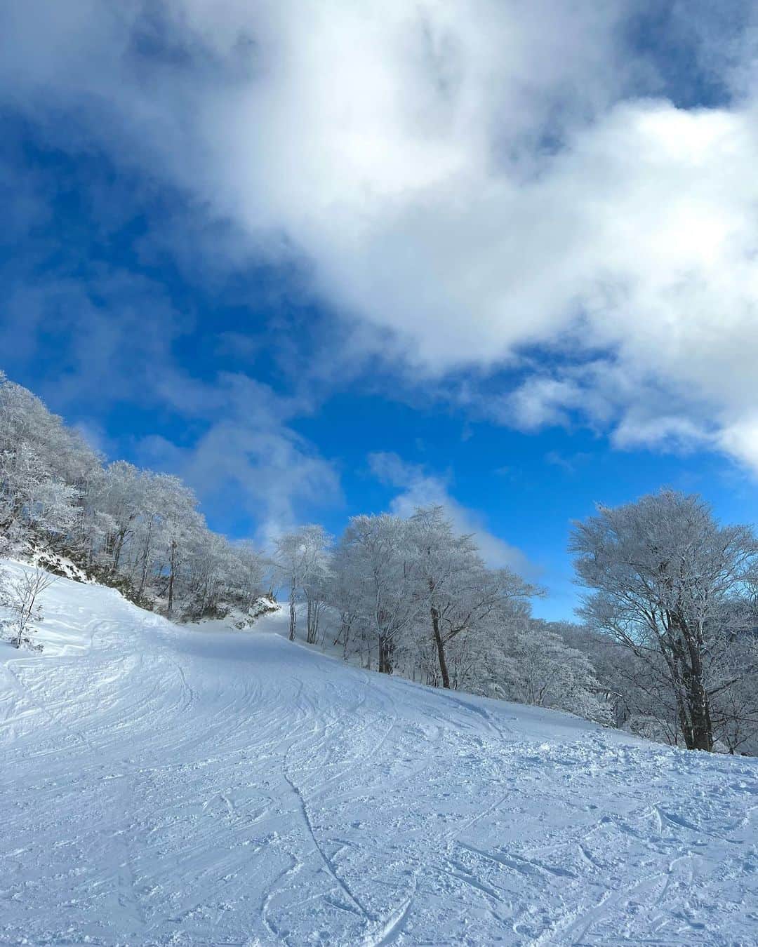 谷尻萌さんのインスタグラム写真 - (谷尻萌Instagram)「粉雪がふわふわと舞っていて〜 青空に星が瞬いているようやったよ🌟❄️💓  #銀世界 #パウダースノー」1月2日 18時50分 - tanijiri_moe