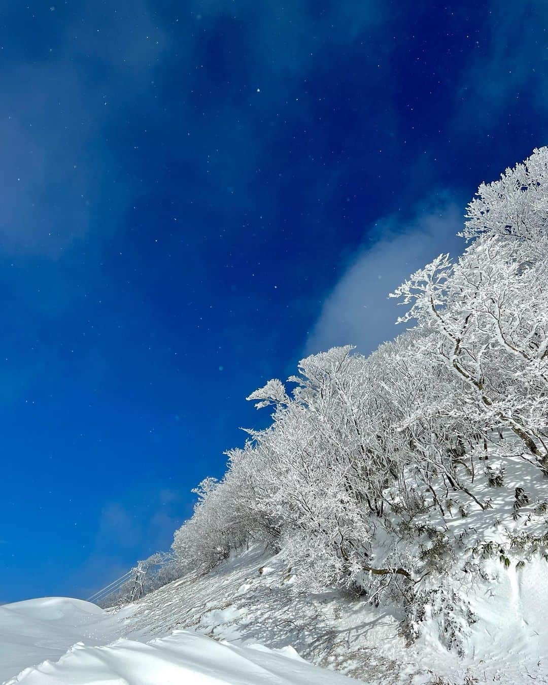 谷尻萌さんのインスタグラム写真 - (谷尻萌Instagram)「粉雪がふわふわと舞っていて〜 青空に星が瞬いているようやったよ🌟❄️💓  #銀世界 #パウダースノー」1月2日 18時50分 - tanijiri_moe