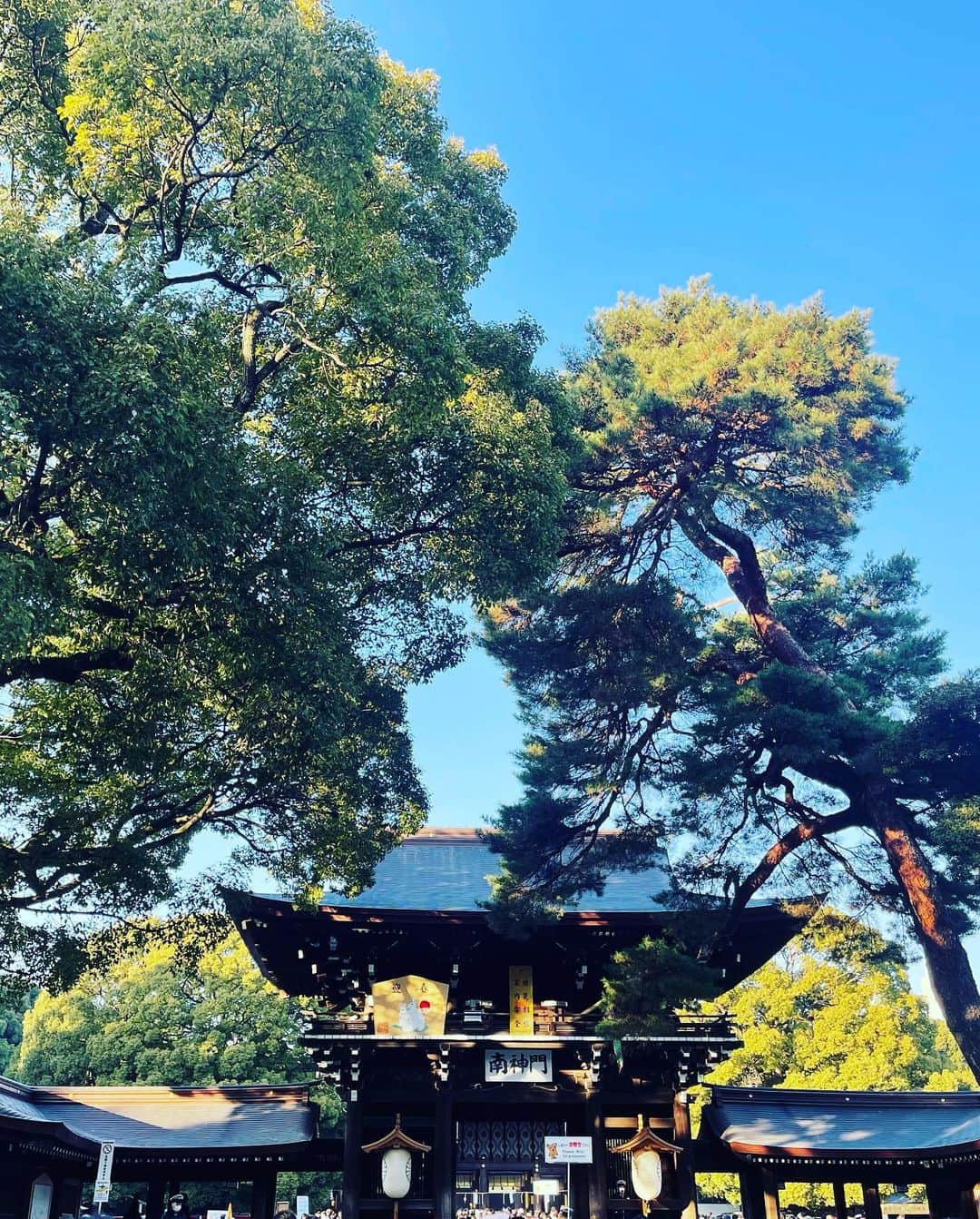 堀内敬子さんのインスタグラム写真 - (堀内敬子Instagram)「初詣⛩  みんなの健康を祈りました。  #初詣 #明治神宮」1月2日 21時07分 - horiuchi_keiko