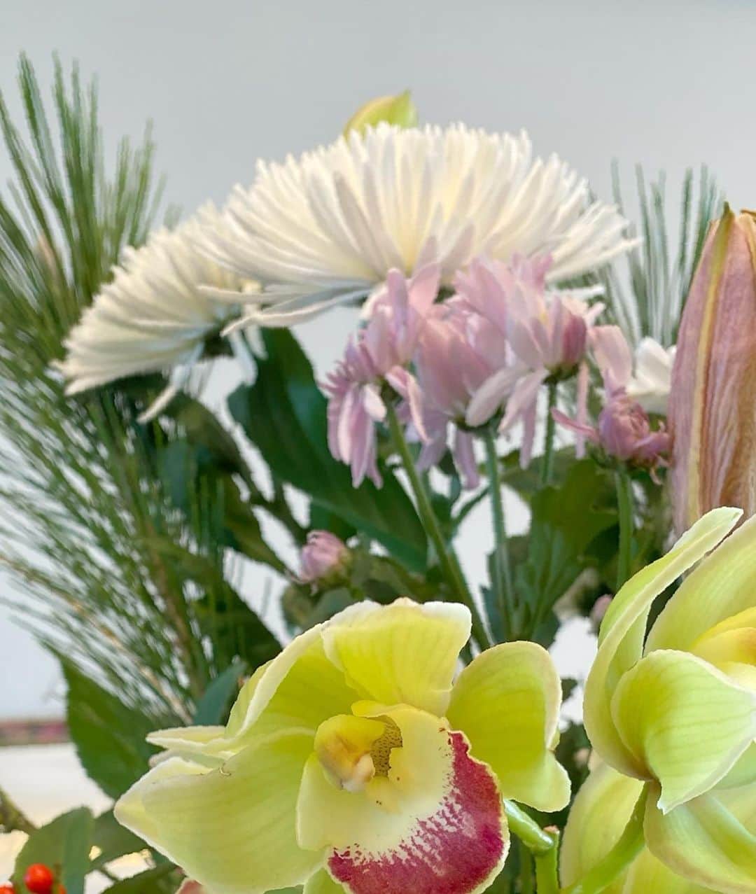 西川瑞希（みずきてぃ）さんのインスタグラム写真 - (西川瑞希（みずきてぃ）Instagram)「おうちのお花、今はお正月仕様です💐お花は見ているだけでも癒されるので、週に一度くらい定期的に買いに行きます//  季節のお花を楽しんだり、気分によって選んだり、好きなお花を揃えてみたり！  その時、その時で手に取るものの雰囲気や色味も違ったりするのも"あぁ、今こんな気分なのかな！"って気づけたりもして楽しい☺︎  #flower #livingroom #お花のある暮らし #癒し #お花 #おやすみ #おうち時間」1月3日 16時11分 - mizuki_nishikawa_