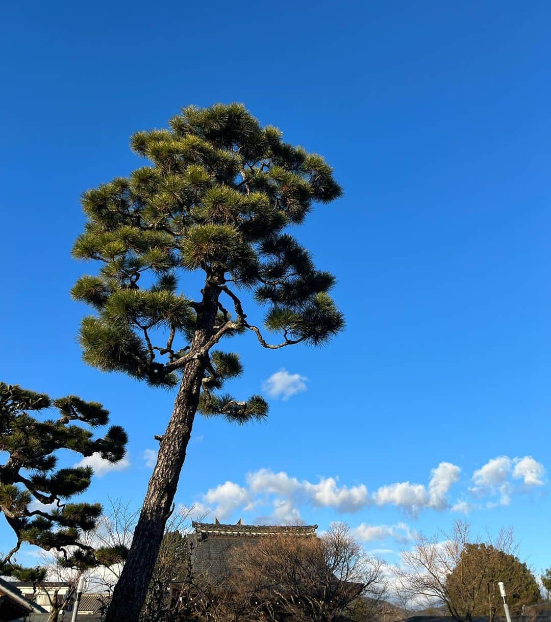 砂田将宏さんのインスタグラム写真 - (砂田将宏Instagram)「明けましておめでとうございます⛩ 今年も宜しくお願い致します♡🙇🏻‍♂️  そういえば年始休み中にたまたまとあるメンバーに遭遇しました😳 誰でしょう？」1月4日 17時16分 - masahirosunada.official