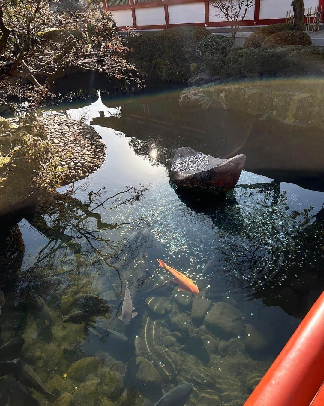 ちとせよしのさんのインスタグラム写真 - (ちとせよしのInstagram)「海中鳥居でばんざーい⛩  お正月は数年ぶりに地元佐賀県で過ごせました😭✨ おじいちゃんおばあちゃん達も喜んでくれて幸せ♡  初詣は大好きな祐徳稲荷神社へ🦊 おみくじは小吉でした！最近大吉見てないなあ…( ´ . ¸ . )  #佐賀県 #佐賀観光 #祐徳稲荷神社 #海中鳥居 #saga」1月4日 17時48分 - chitose_yoshino