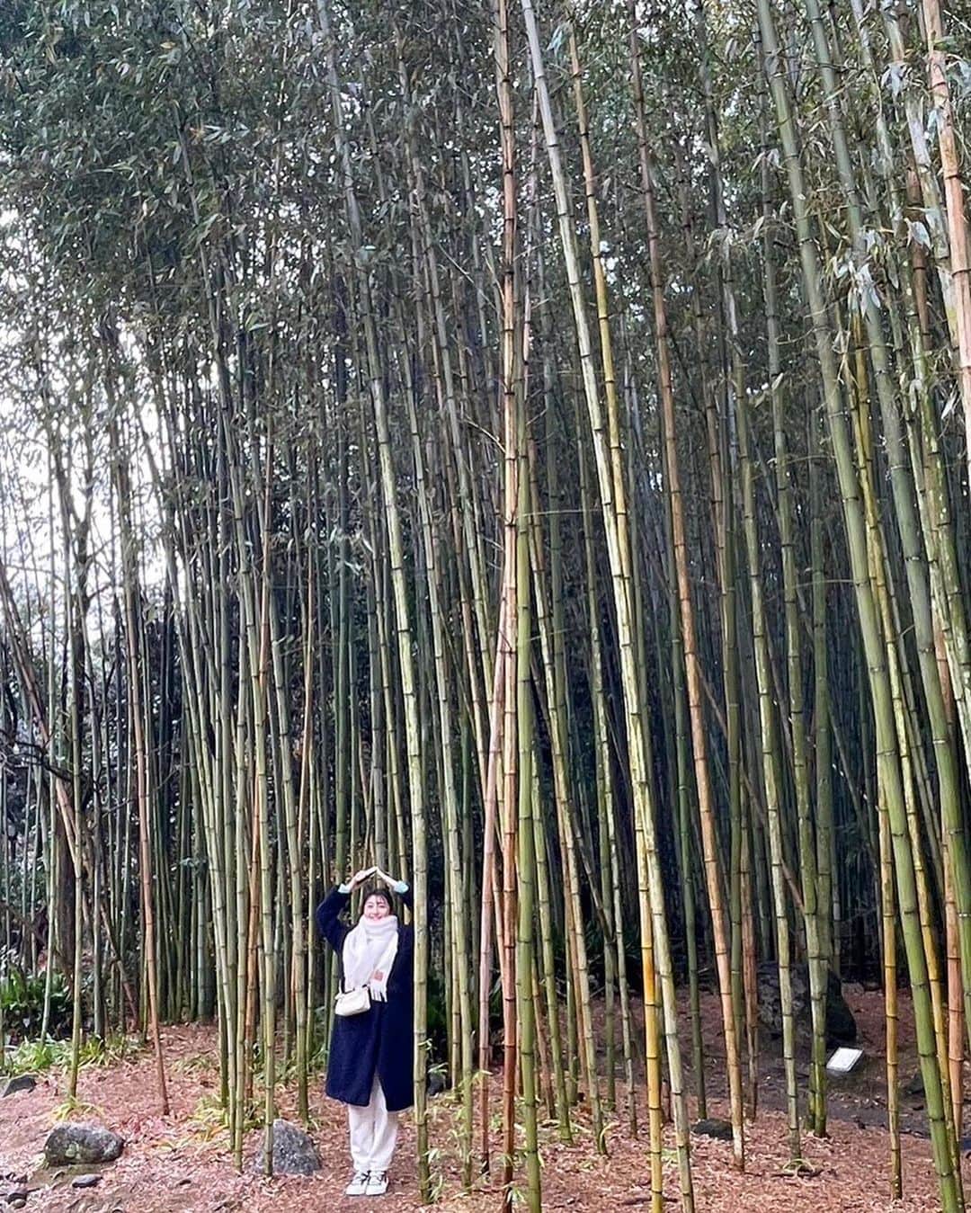 近藤夏子さんのインスタグラム写真 - (近藤夏子Instagram)「.   ニューイヤー駅伝後 仕事はじめ。  2023年はイベントだらけ。  竹のようにまっすぐ スクスクと成長できるよう 頑張ります✨ 　 　 . #たけのこいちにょき」1月4日 18時32分 - kondokako0804