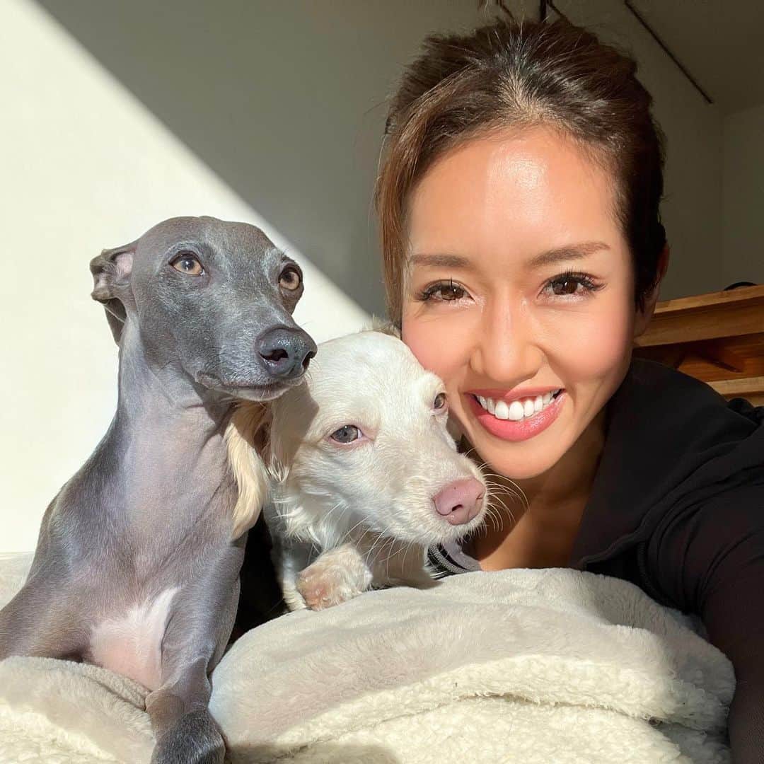 Azusaさんのインスタグラム写真 - (AzusaInstagram)「新年あけましておめでとうございます🎍🐶 ⁡ お正月はわんこと家族とゆーっくり過ごせて幸せでした❤️ Instagramを見てくださっている皆さま今年もよろしくお願い致します✨ ⁡ エルは去年の1/3に保護犬のトライアルとして我が家にやってきました🏠 トライアルを終えて正式にエルと家族になってちょうど1年経って、家族としての絆が生まれて私の心を温めてくれる大きな存在になりました❤️‍🔥 ⁡ うちに来てくれてありがとう😍 そして、エルを保護してくれた保護団体のアグリドッグレスキューの皆様 @aguridogrescue 、うちに来るまでの間育ててくれた @mochiya22 さん 本当にありがとうございます！これからも家族全員で幸せに暮らします✨✨ ⁡ ⁡ #dogstagram#dogportrait#dogoftheday#iggylife#iggysofinstagram#doglover#doglife#perro#italiangreyhound#stylishdog#sighthound#イタグレ#いぬすたぐらむ#いぬのいる暮らし#犬のいる生活#イタリアングレーハウンド#サイトハウンド#ダックスMIX#ダックスフンド#保護犬#保護犬を家族に#rescuedog#rescuedogsofinstagram」1月5日 18時11分 - az.dancy
