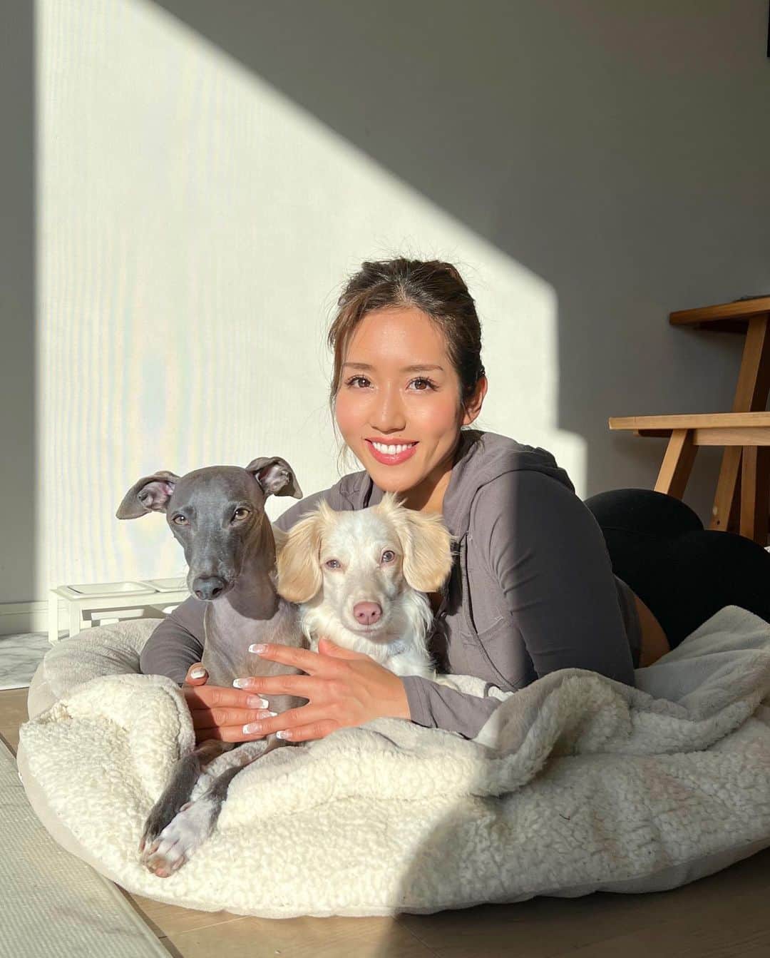 Azusaさんのインスタグラム写真 - (AzusaInstagram)「新年あけましておめでとうございます🎍🐶 ⁡ お正月はわんこと家族とゆーっくり過ごせて幸せでした❤️ Instagramを見てくださっている皆さま今年もよろしくお願い致します✨ ⁡ エルは去年の1/3に保護犬のトライアルとして我が家にやってきました🏠 トライアルを終えて正式にエルと家族になってちょうど1年経って、家族としての絆が生まれて私の心を温めてくれる大きな存在になりました❤️‍🔥 ⁡ うちに来てくれてありがとう😍 そして、エルを保護してくれた保護団体のアグリドッグレスキューの皆様 @aguridogrescue 、うちに来るまでの間育ててくれた @mochiya22 さん 本当にありがとうございます！これからも家族全員で幸せに暮らします✨✨ ⁡ ⁡ #dogstagram#dogportrait#dogoftheday#iggylife#iggysofinstagram#doglover#doglife#perro#italiangreyhound#stylishdog#sighthound#イタグレ#いぬすたぐらむ#いぬのいる暮らし#犬のいる生活#イタリアングレーハウンド#サイトハウンド#ダックスMIX#ダックスフンド#保護犬#保護犬を家族に#rescuedog#rescuedogsofinstagram」1月5日 18時11分 - az.dancy