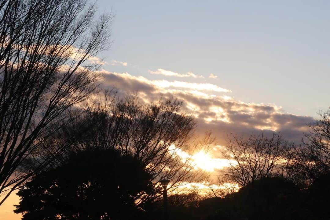 前野えまさんのインスタグラム写真 - (前野えまInstagram)「今日も良い日でした。 おやすみなさい🌕 ・ ・ #sunset #moon  #todayssky  #goodnight」1月5日 21時58分 - maeno_ema