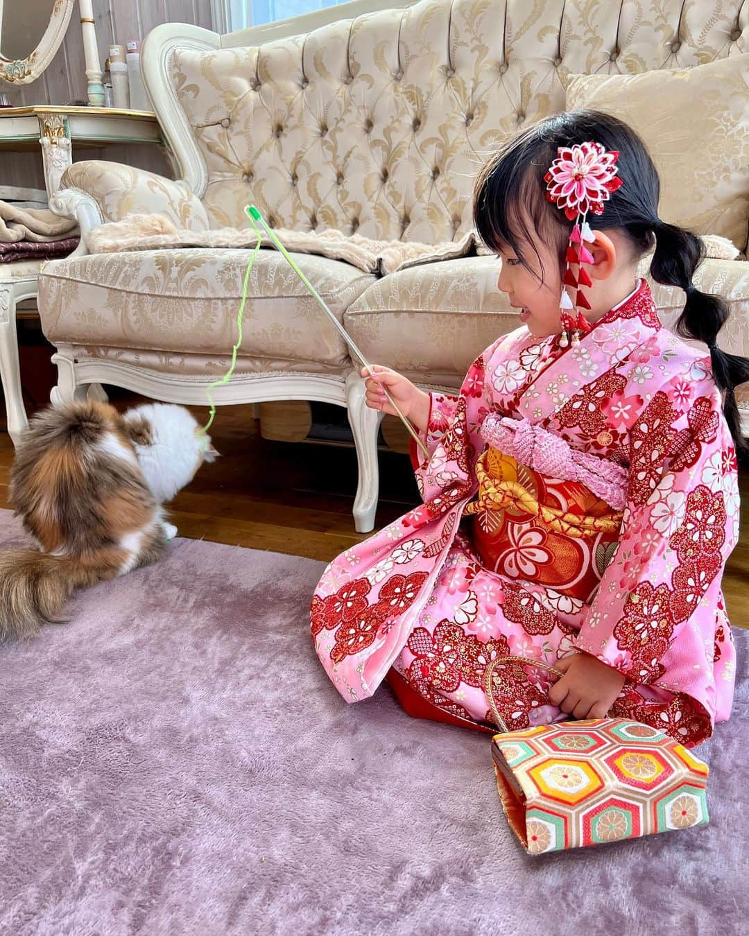 マンチカンのココ王子さんのインスタグラム写真 - (マンチカンのココ王子Instagram)「2023お正月✨ Japanese New Year's Day.  #ミヌエット#マンチカン#猫のいる暮らし#猫と着物#catsta#猫と子ども」1月6日 1時11分 - cocolog_cat