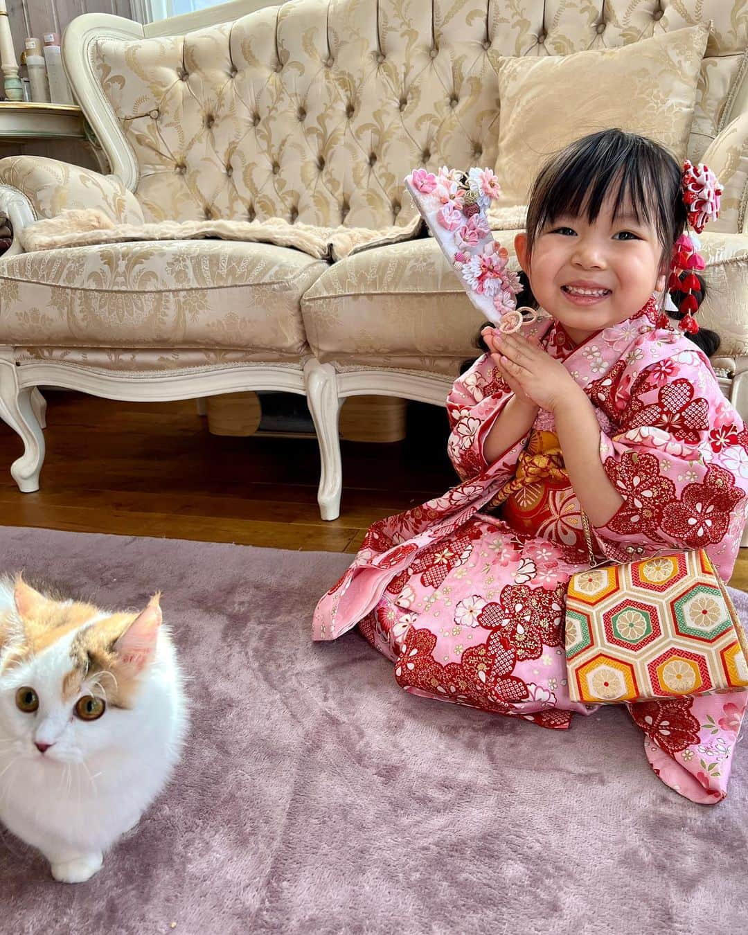 マンチカンのココ王子さんのインスタグラム写真 - (マンチカンのココ王子Instagram)「2023お正月✨ Japanese New Year's Day.  #ミヌエット#マンチカン#猫のいる暮らし#猫と着物#catsta#猫と子ども」1月6日 1時11分 - cocolog_cat