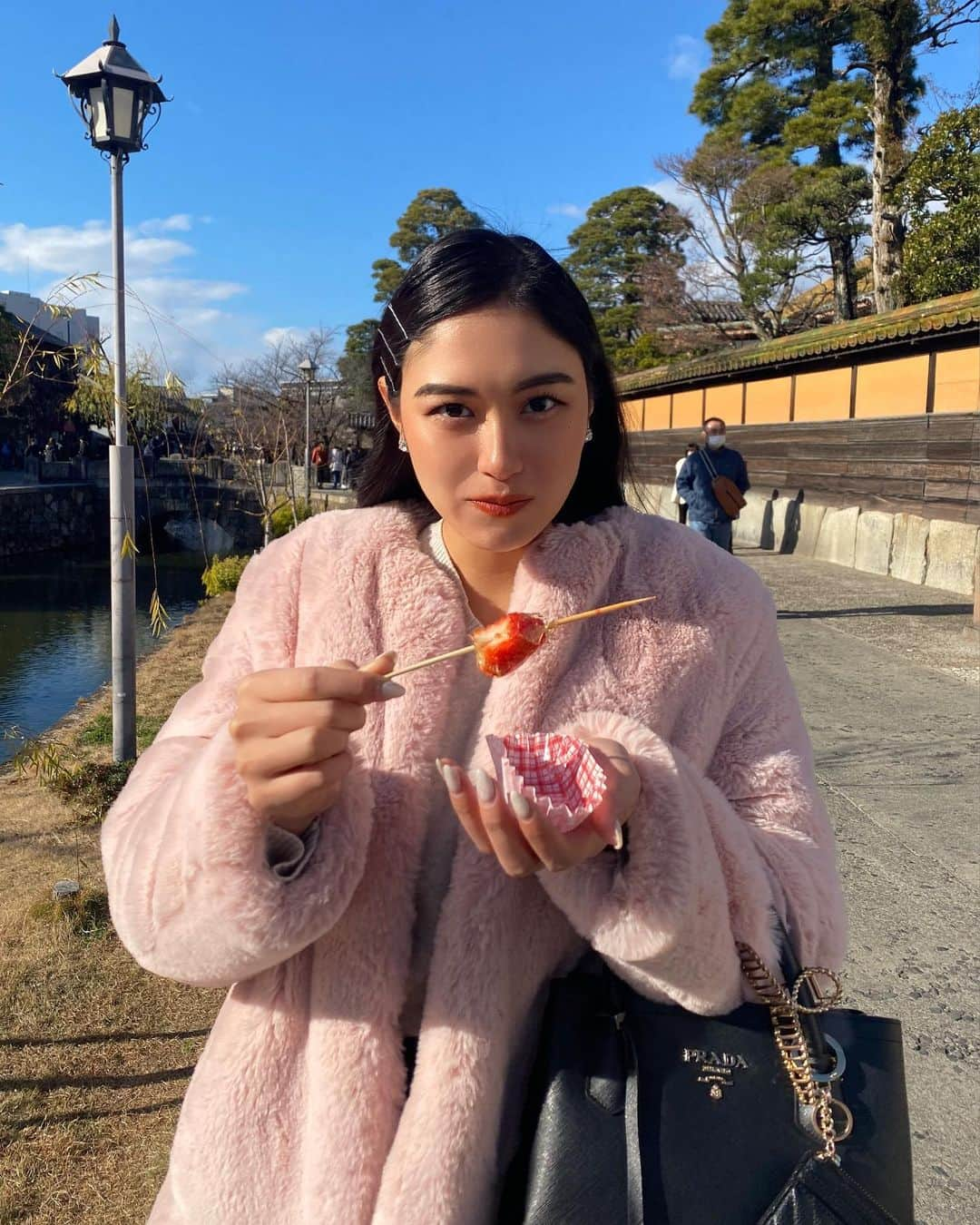 モラレスしれなさんのインスタグラム写真 - (モラレスしれなInstagram)「🐰🍓☀️💦☁️ 写真より食べる方が先！  #岡山 #倉敷カフェ #倉敷グルメ #美観地区 #美観地区食べ歩き #いちご飴 #ひとくち団子  #きびだんご #桃パフェ」1月6日 20時37分 - keinarosario