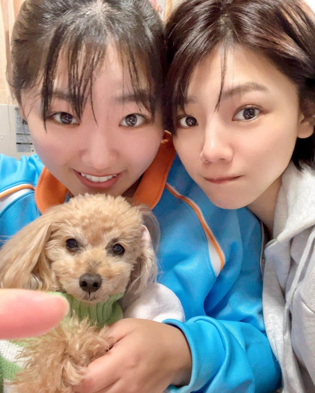 大川成美さんのインスタグラム写真 - (大川成美Instagram)「毎日ココア🐶 離れず一緒だったから、寂しいな。  ． #ココすけ」1月6日 22時14分 - naru_coco