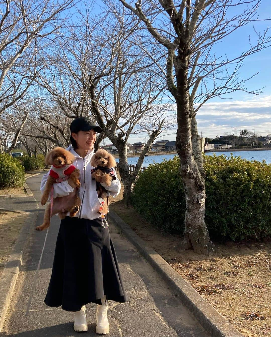 大川成美さんのインスタグラム写真 - (大川成美Instagram)「毎日ココア🐶 離れず一緒だったから、寂しいな。  ． #ココすけ」1月6日 22時14分 - naru_coco