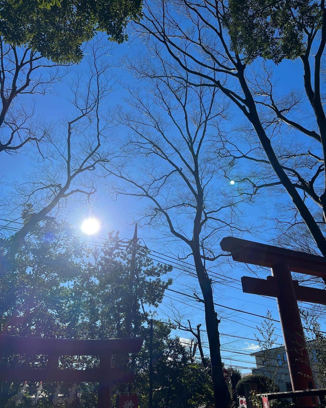 西山茉希さんのインスタグラム写真 - (西山茉希Instagram)「大吉やっぴ😛  ずっと行きたい広島厳島神。 工事が終わったみたいだから今年叶えられたらいいな。  計画をはじめよう🌈⛩🌈  #令和のチョコバナナ #カラフル度高め」1月7日 13時12分 - maki.nshiyama50