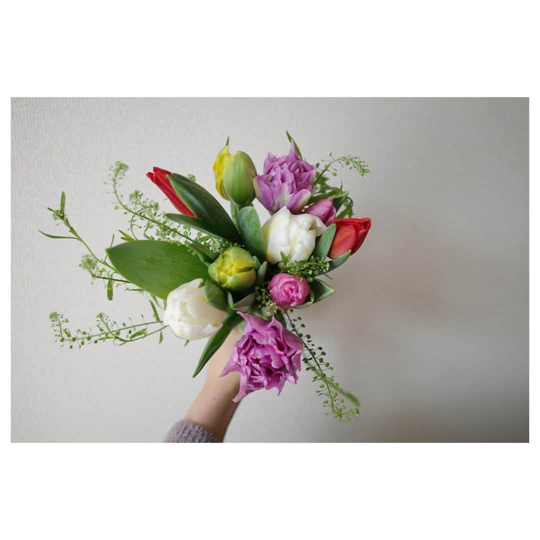 高垣麗子さんのインスタグラム写真 - (高垣麗子Instagram)「* お花屋さんに並ぶチューリップ  なんて可愛いんだ🌷🌷🌷  リビングがパァッと明るくなりました  * #flower  #チューリップ #🌷」1月7日 14時51分 - reikotakagaki