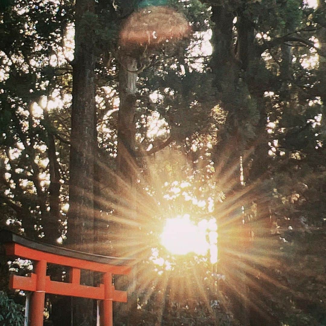鳥越裕貴さんのインスタグラム写真 - (鳥越裕貴Instagram)「⛩ #神社 #神社巡り #御朱印 #感謝」1月8日 17時03分 - yuki_torigoe.cleftchin