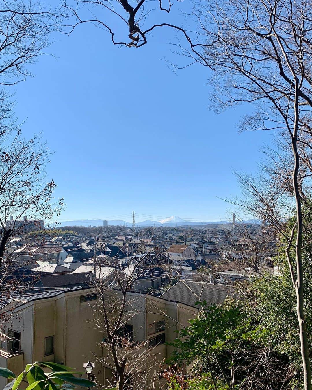 仲川希良さんのインスタグラム写真 - (仲川希良Instagram)「2日に再放送されたNHK「テントを背負って"富士を見に行く"」 年始に富士山という親和性のおかげか たくさんのご感想をいただきました ご覧くださったみなさんありがとうございました！ ・ ・ 私の住む地域は少し高台に上がれば富士山が目に入ることが多く 冬晴れが続いたお正月前後は何度もその圧倒的な姿を目にしました ・ 我が家のリビングの不思議な位置にある出窓 冬になると葉が落ちた木立の向こうに夕焼を背にした富士山がシルエットで浮かびます 今年もこの季節かぁと 最近は富士山柄の湯呑みに入れたお茶を飲みながら眺めています　 ・ ありがたくもあり 親しみ深くもある 富士山 ・ 気軽に登りに行けるホームマウンテンというわけにはいかないけど どう見たってスペシャルなこのお姿がちょくちょく目に入る生活はかなり良いなと 改めて思います ・ ・ 先日電車の窓から見えたときは息子も大喜び 「富士山！ぼくが飛行機から見た富士山！」 先日北海道へ行ったときに見たのをすっかり覚えたんだなぁと驚きながら 「お母さんあのてっぺん行ったことあるんだよ」と言ってみたら 「ぼくも行きたい！明日行こう！」と ・ うんうん 明日はちょっと無理だけど いつかきっと一緒に行こうね ・ ・ ・ 大好きな「テントを背負って」シリーズは11日にも再放送があります またお知らせしますね！ ・ ・ #🗻 #📺 #登山 #トレッキング #ハイキング #山旅 #テント泊 #富士山 #テントを背負って」1月8日 22時02分 - kiranakagawa