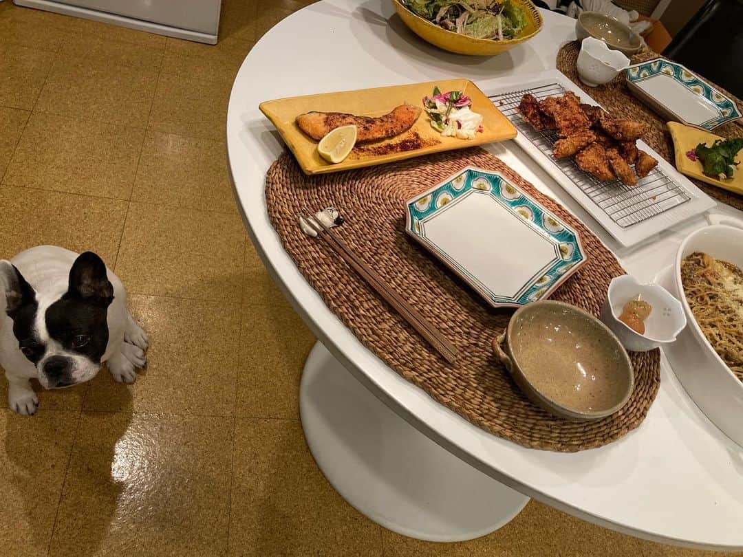 安藤優子さんのインスタグラム写真 - (安藤優子Instagram)「もったいないの鰹節唐揚げ⁉️  お早うございます‼️  今朝も少し冷え込みがゆるんでいる東京。  でも快晴です。  昨晩は、鰹節を衣にした鶏の胸肉の唐揚げを作りました。  これ、いろんなものについてくるタレと納豆についてくる辛子で胸肉を漬けて、鰹節をまぶして唐揚げにしたんです。（笑）  とにかくいろんなタレ、ポン酢とかもみじおろしとか、いろいろお刺身とかについてきますよね。  捨てられない性分（笑）て、ついつい取っておくと溜まる一方。  なのでそのタレを適当に混ぜて、あとは辛子を10袋くらいドーンと入れて漬け込みました。  これがホントに複雑な味で美味しいのです。  つけだれをよくきってから、片栗粉を揉み込んで、さらに鰹節をドーンと入れて揉み込んで、最後にまた片栗粉をまぶしてから揚げました。  味しみしみで、鰹節の風味がたまりません。  もしいろんなタレが溜まっている方、ぜひぜひお試しを。  個人的には、ポン酢と辛子の組み合わせが気に入っています。（笑）  我が家は約一名、納豆に辛子入れない派が生息しています。 ので、辛子が余ってしまうのです。  そのほかは、塩豚とサニーレタスのサラダ、ZENBヌードルのボロネーゼソース、は、ダンナ飯。  私は鮭のバタームニエルを担当。  ちょっと茶色なテーブルでした。  さっこれからリンを起こして朝ンポです。  今日も超ロングかなぁ⁉️  みなさま、本日も心は快晴の一日になりますよう‼️  本日もよろしくお願い致します。  #鰹節で唐揚げ #余ったタレで   #フレンチブルドッグ  #安藤優子」1月9日 7時23分 - yukoando0203