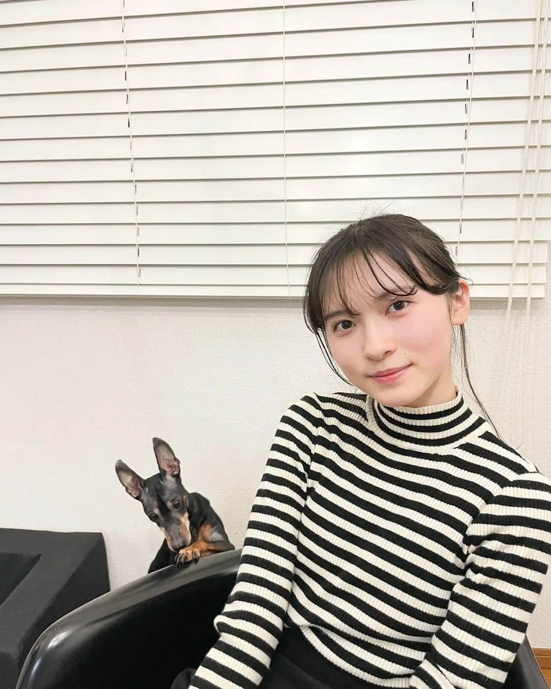 桧山ありすさんのインスタグラム写真 - (桧山ありすInstagram)「家で写真を撮っていたら乱入者が🐕 ティムくんはなぜか大きく見えるけど小型犬です😶  TikTokもアップしているので 良かったら見てください！  成人式を迎えられた皆さま、ご家族の皆様、本当におめでとうございます♡ あと数年後ですが私も今から成人式楽しみです☻  #桧山ありす #alice #jc3 #07 #ミニチュアピンシャー」1月9日 17時05分 - alice.hiyama