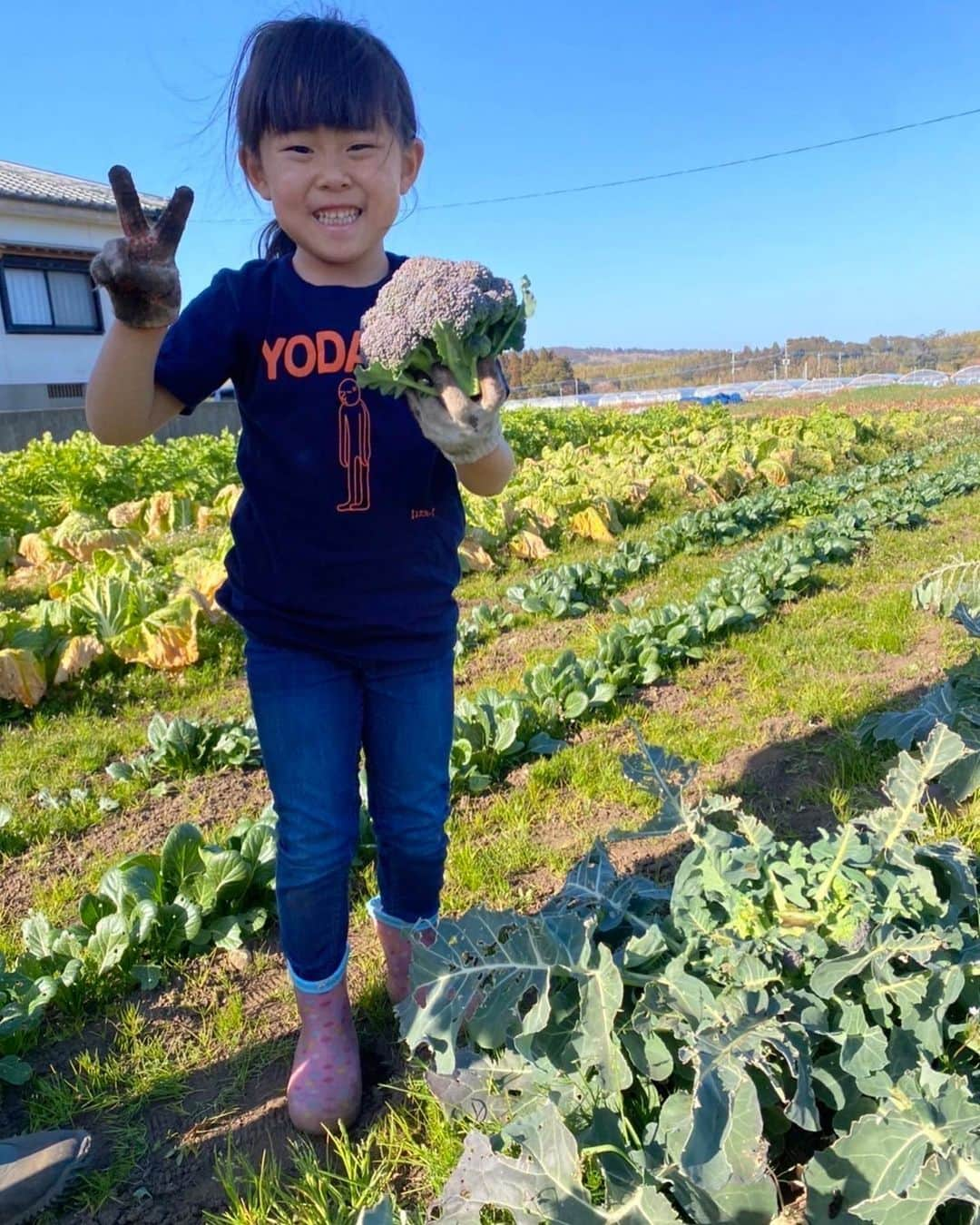 大竹しのぶさんのインスタグラム写真 - (大竹しのぶInstagram)「もうすぐインするドラマの撮影の準備に追われて目まぐるしい日々の私に可愛い動画が届きました。 宮崎のあんちゃん、ななちゃん姉妹です。 掘り立てのジャガイモを「綺麗」という感性。 おネギを、頭を使って掘り起こさせる都会育ちのなのに素晴らしいママの、じゅなちゃん。 めちゃくちゃ癒され、考えさせられ、平和である事の意味を思った。  #アンちゃん便り #宮崎県 ##大竹しのぶ」1月9日 23時57分 - shinobu717_official