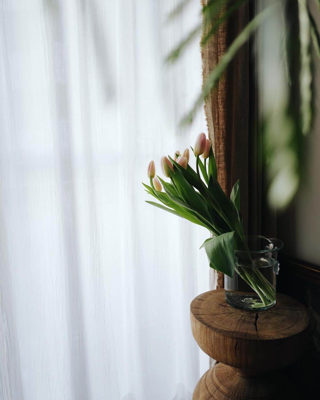 高山都さんのインスタグラム写真 - (高山都Instagram)「家の中に小さい春。 チューリップはバサっと束で生けるのが好きです。 今日は自宅で撮影なので、朝からせっせと掃除した。 お花がクリアに見える。」1月10日 12時36分 - miyare38