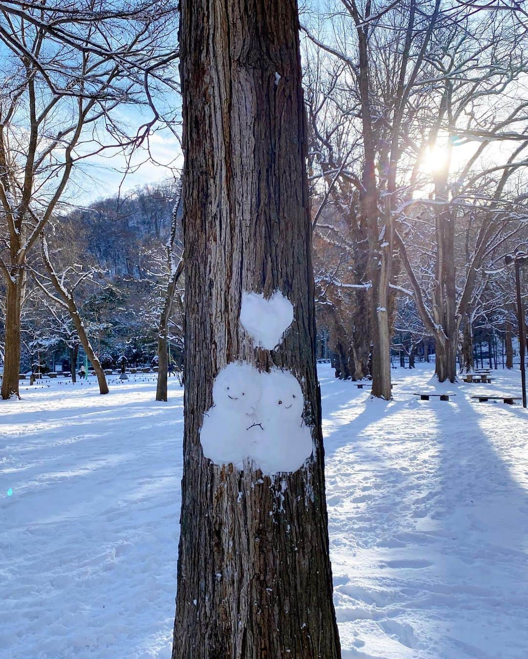 小野寺結衣さんのインスタグラム写真 - (小野寺結衣Instagram)「・ ⁡ ⁡ 新年のご挨拶が かなり遅れてしまいましたが...🙇‍♀️ 今年もよろしくお願い致します🎍🇯🇵 ⁡ ⁡ ⁡ (お正月らしい写真がないので 先月の北海道出張の際のものを☃️笑) ⁡ ⁡ ⁡ 今年は本厄ですが前向きに！ 感謝の気持ちを忘れずに 心身共に健康で過ごしたいです😊 あと規則正しい生活をして睡眠の質を 上げるのも目標🥱🌙 ⁡ ⁡ ⁡ ⁡ 2023年は1人でも多くの方にとって 心の平和が保たれる1年になりますように 心から願っています。 ⁡ ⁡ ⁡ ⁡ ❤️🤍❤️🤍 ⁡ ⚫︎今日は夜まで日テレNEWS🎤 ⁡ ⚫︎23:30〜はフジテレビ系列  《乃木坂46とダンスバトルズ》です！ 今回は番組初のゲストが登場😎！ 是非ご覧くださいー❤️‍🔥 ⁡ ⁡ ⁡ ⁡ ⁡ ⁡ #HappyNewYear #🐰 #本厄  #弾丸一人旅シリーズ #ラーメンのために #すすきの へ #北海道ラーメン #けやき #🍜 #北海道グルメ #マイナスの寒空のなか行列に並んだあとのラーメンは格別でした🤤 #北海道 #札幌 #北海道神宮 #神宮茶屋 #NIKKA #雪景色 #一人雪だるま作り #☃️ ⁡」1月10日 16時52分 - yui_onodera0831