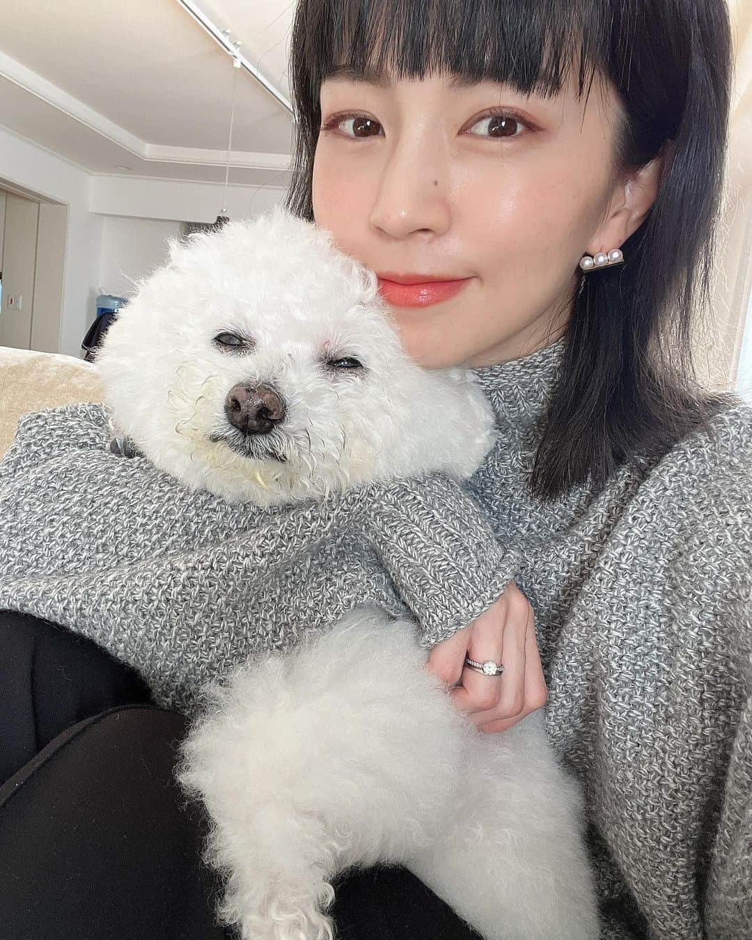 安田美沙子さんのインスタグラム写真 - (安田美沙子Instagram)「おはよう🐶  はんな、トリミング行きました🤍  体力が心配で中々行けなかったけど。。最近は調子もよく、私の手づくりご飯も食べてくれてるので☺️  あと少しで16歳かぁ。。  沢山走るし、まだまだ大丈夫！  近日一緒に撮影がある✨楽しみだね🐶  #hanna #bichonfrise  #dog #family #15yearsold #まもなく16yearsold」1月11日 10時49分 - yasuda_misako