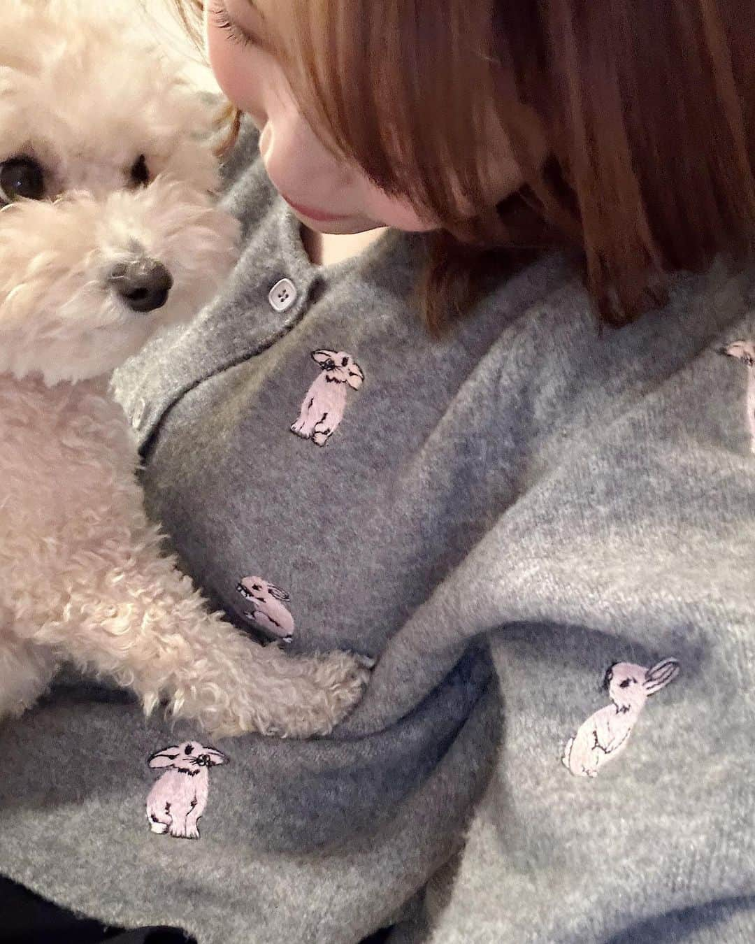 良原安美さんのインスタグラム写真 - (良原安美Instagram)「🐶🐰 ⁡ 上目づかい犬と、 なんだか 縁起の良さそうなカーディガン。 ⁡ あぁ、どっちもかわいい。 ⁡ ⁡ #卯年 #今月沢山着ようそうしよう」1月11日 17時34分 - yoshiharaami