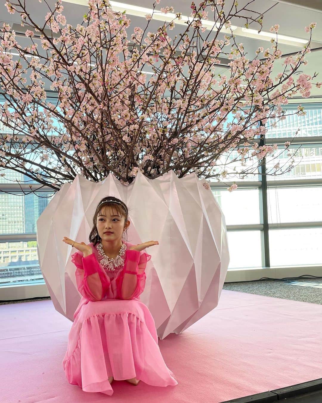 井上咲楽さんのインスタグラム写真 - (井上咲楽Instagram)「YANMAR TOKYO 開業イベントに参加しました！ 農業がさかんな栃木で育っているので、YANMARさんはとっても身近に感じます！  1番早いお花見してきました〜、本物の桜の迫力すごかったです😆✨  1月13ー15日の間にこの本物の桜でフォトスポットができるらしく！先着100人の方に、寿司重もくばっているそうなので、ぜひ！😳東京駅からすぐです！」1月12日 11時25分 - bling2sakura
