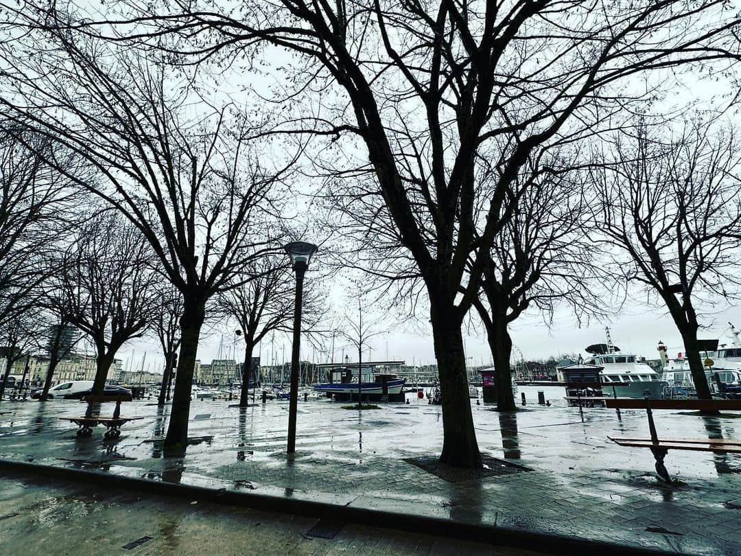 辻仁成さんのインスタグラム写真 - (辻仁成Instagram)「ラ・ロッシェル。ピスケー湾の入り江にある西フランスの港町。  静寂と時々風の音がする絵画のような世界、」1月13日 8時14分 - tsujihitonari