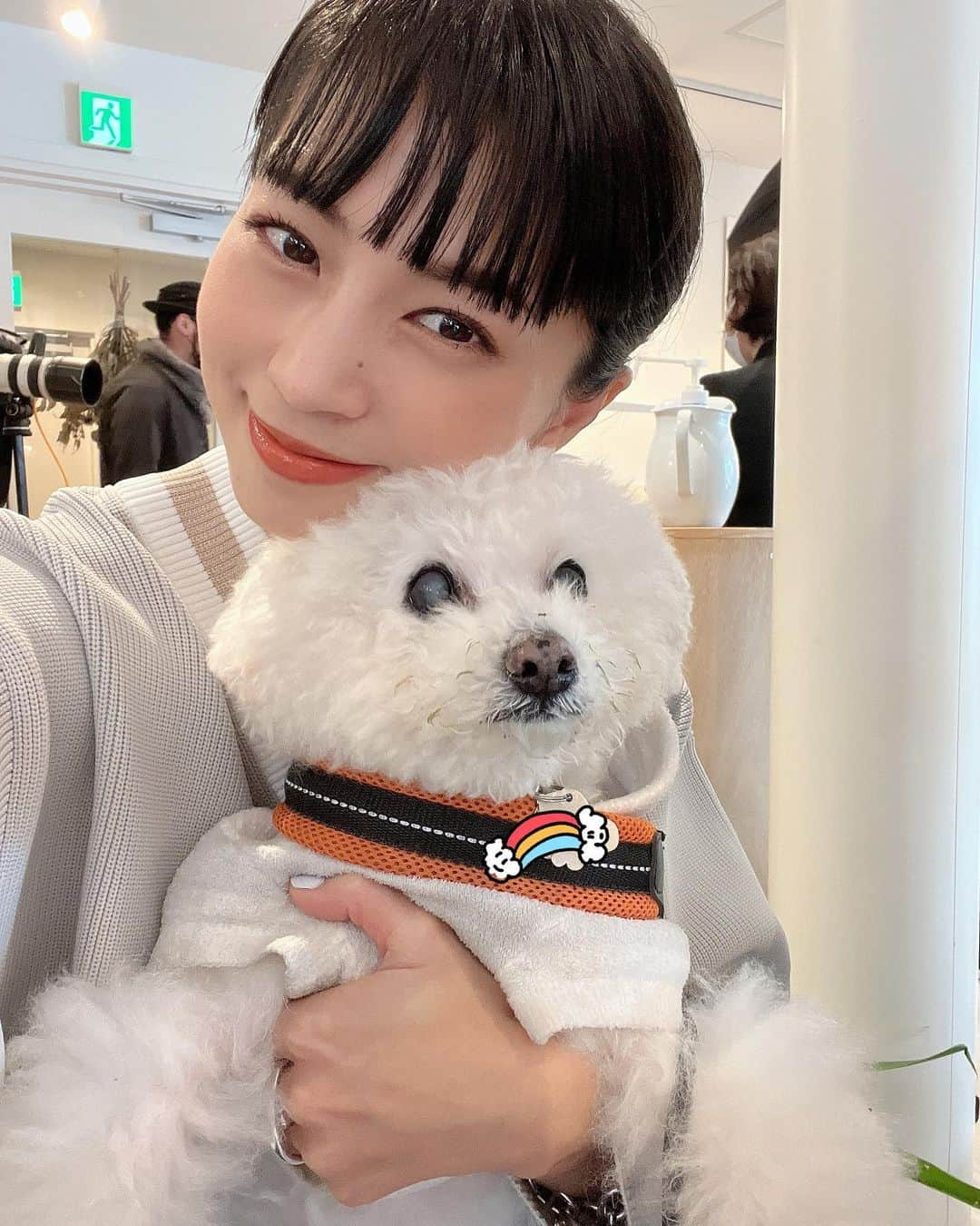 安田美沙子さんのインスタグラム写真 - (安田美沙子Instagram)「おはよう🐶  昨日は、はんなとの撮影でした。  メイクさんとも話していたけど。。 昨年は、散歩もできないくらい 弱ってる時もあった。  足元もおぼつかなくて、フラフラ倒れ込むことも。。 覚悟を決めなくてはと思ったこともありました。  今は、リードをひっぱるくらい体調がよくなりました。  いいお薬が見つかったこと、病院通いや、酸素カプセル、サプリ。。 母がお世話してくれた時は、食べなかったのに急に食べ出したり。。  さすがだなぁ。。。  息子たちも最近は一緒に寝たり。  まだまだ、まだまだ、長生きしてほしいです。  撮影で散歩の足を止めると、ちーんとなり目が細くなるはんな。  沢山散歩いこう🐶  これからラジオ✨ぜひお聴きください。。。  #hanna #shooting #dog #family #bichonfrise  #再会 #感謝 #長生きしようね」1月13日 10時05分 - yasuda_misako