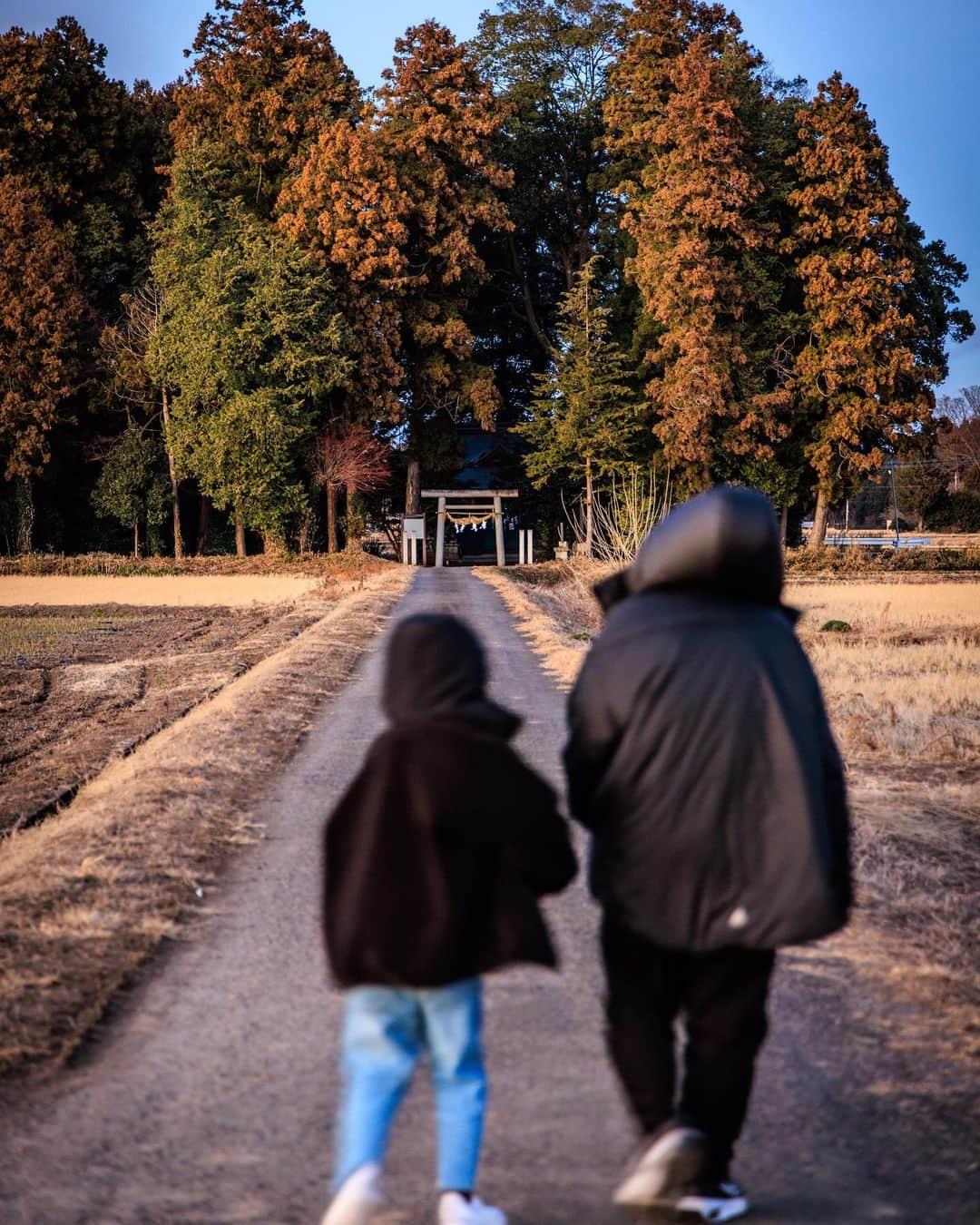 SHOCK EYEさんのインスタグラム写真 - (SHOCK EYEInstagram)「よく子ども達に、 「ダダはなんで神社ばっかり行ってるの？」 と聞かれる。  理由はきっと理解してもらえてないと思うし、 あんまり自分の価値観を押し付けたくないから、 なんとなくだけ、 「好きだからだよ」とかって言ってる。  家族でお出かけしてる時、 たまに神社に立ち寄ることがあって、その時は、付き合ってくれたり、そうでなかったり、色々な場面があるんだけど、  この前、栃木旅行の帰り道、、  窓の外を見ていた次男が、  「あ、あんなところに神社がある」  って、広い田んぼのど真ん中にある神社を見つけたんだ。  それを見たママが、  「すごい！トトロいそうだね」って返した。  見てみると、こんもりした森に鳥居が見える。  わ！すごっ！  ほんと「となりのトトロ」みたいだ。 もしくは「君の名は」的な世界観だ。  運転をしていた僕の中には、 もちろん行ってみたい気持ちはあったけど、もう良い時間だし、帰るのが遅くなるから、スルーしたほうが良さそうだな、と正直思っていた。  すると次男が、  「行ってみたい！」 と言い出した。  「お！まじ？行ってみる？」  意外な言葉に嬉しそうに僕は返事をする。  ママは、 「いいよ、待ってるから2人で行ってきたら？」と。  それを聞いてすぐ、僕は車をUターンさせて、神社の側に車を駐車させた。 すると長男も珍しく、 「俺も行ってみようかな」 って言い出した。  「お！じゃあ、3人で行ってみよう！」  長い一本道の参道を歩いていく。 良い雰囲気だ。  でも、 周りは夕暮れ、空が少しずつ暗くなっていくのを感じて、 あの境内はもしかしたら、 子ども達にはちょっと怖いかもなと思って、 僕は神社の入り口で止まり、 「ここで手を合わせて戻る？」 って聞いた。  そしたら長男が、 「中に入って神社の前でちゃんと挨拶しなかったら失礼でしょ」だって✨  嬉しいなあ。 えらいなあ。 そうだよね、、うん、ちゃんと中に入ろう。  上手に手を合わせる子ども達を見て、 暗い境内でも怖がらずに楽しそうにしてる子ども達を見て、  なんか感動してしまった。  綺麗なオレンジ色の夕暮れが大小２つのシルエットを作る。 彼らにとってこの風景がこの時間がどう映ってるかはわからないけど、、 きっと大切な何かは伝わっている。。と思う。 それが何かはわからないし、わからなくてもいいや。  この景色、この世界が当たり前でない大都会に彼らは住んでいる。 でも、たまにはこうして、僕が子どもの時、当たり前だった景色を見せてあげるんだ。 名前も知らない神社さん、ありがとうございました🙏  ねえねえ、、 あそこに絶対トトロいたよね？😊✨  #神社 #shrine #となりのトトロ #寄り道 #君の名は #日本の景色 #伝承 #氏神様  #氏神神社 #氏神」1月13日 16時59分 - shockeye_official