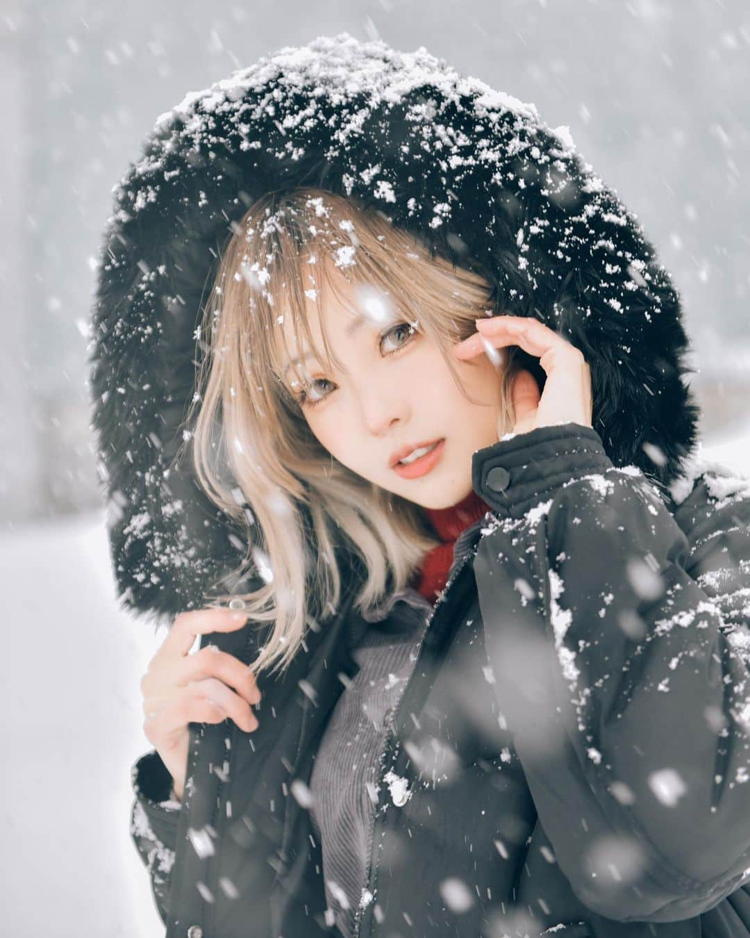 Elyさんのインスタグラム写真 - (ElyInstagram)「𝕊𝕟𝕠𝕨 雪 ❄️   Photo by @dzzdm」1月15日 18時56分 - eeelyeee