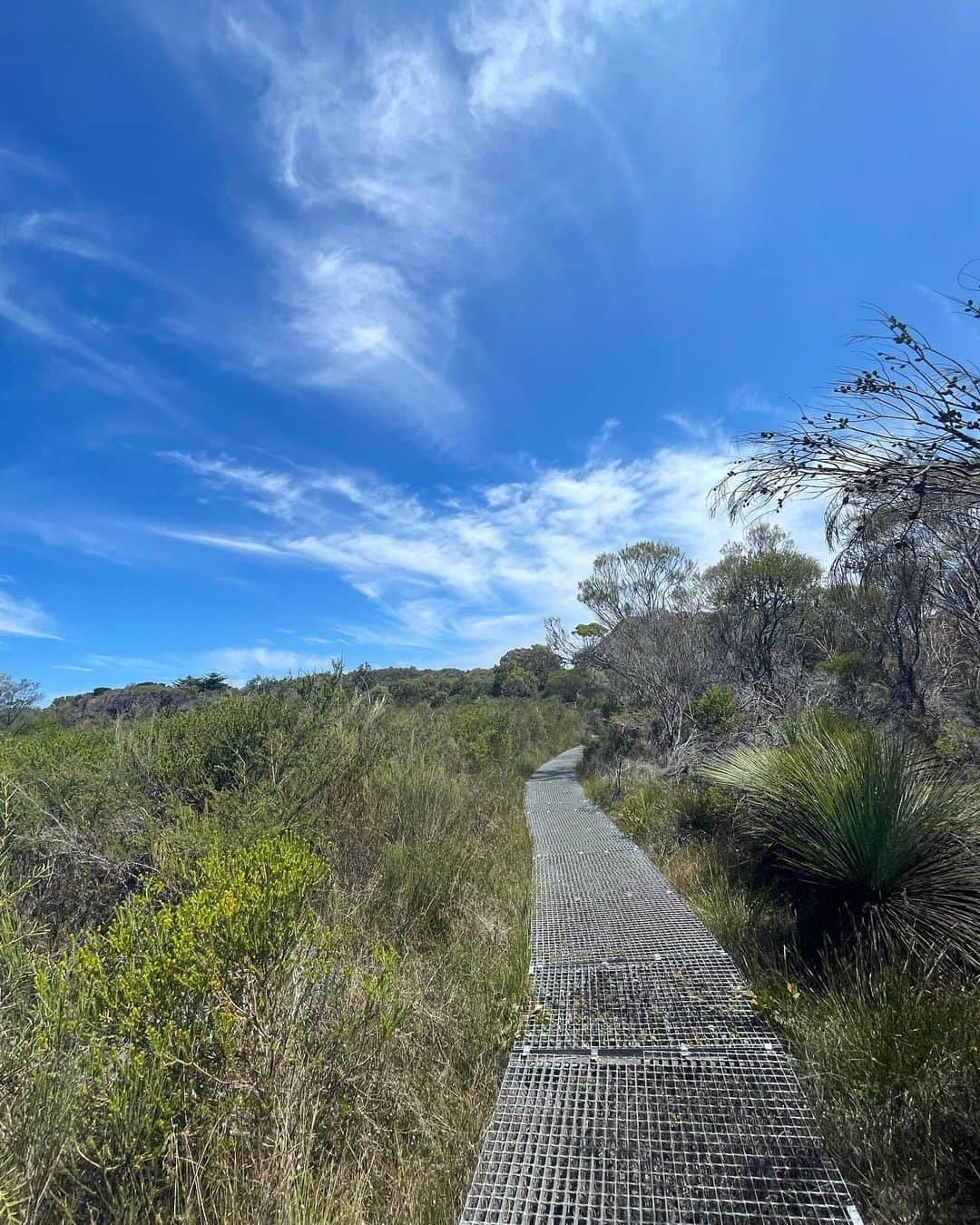 あゆみさんのインスタグラム写真 - (あゆみInstagram)「National park hopping🌊 . #shellybeach #lookout #nationalpark #manly #sydney #australia #nsw #exploresydney #sydneyharbour #travel #シドニー #オーストラリア #ワーホリ #旅行」1月15日 19時29分 - ayumiiii26