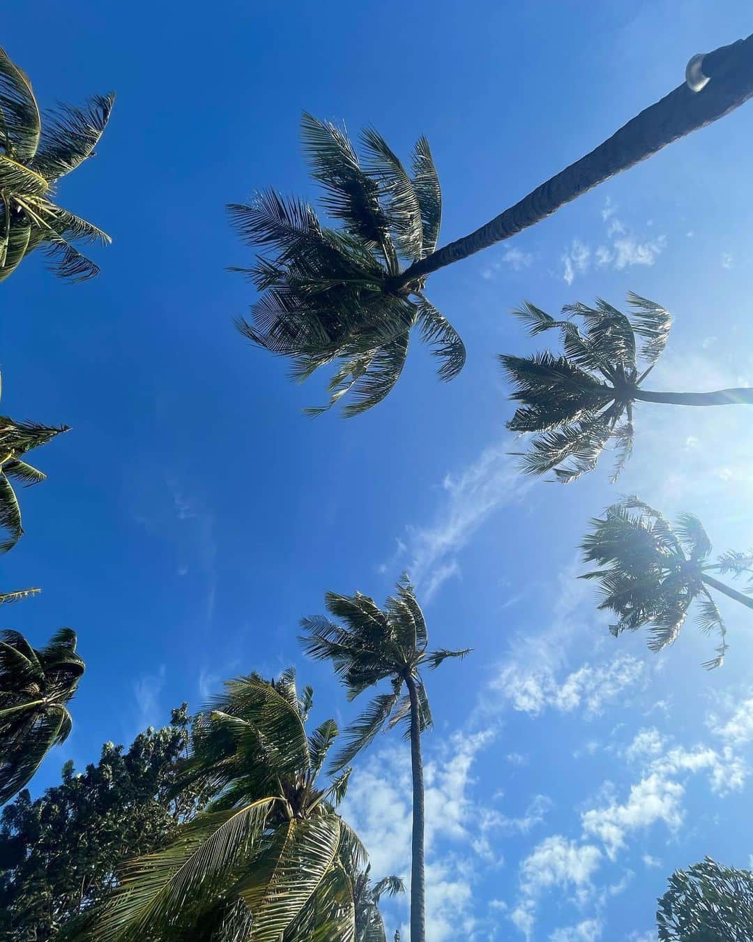 王林さんのインスタグラム写真 - (王林Instagram)「お正月バリ島に行ってました☺️🌺  サーフィンしてプールしてあとはずっとビールのんでさいこうだったよ😂🍻  こんな息抜きも大事だね☺️」1月16日 21時41分 - ourin_ringoooo