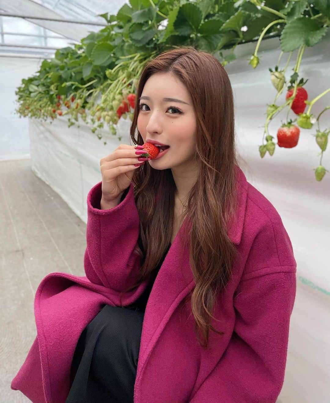 MIYABIさんのインスタグラム写真 - (MIYABIInstagram)「苺の季節だね🍓💖  農薬を一切使ってないから、そのままペロリ😋  酸味もなくて美味しかったぁ🫶  @strawberryfarm_luana_2021 さんありがとう御座いました🙏  #いちごがり🍓  #サイバージャパン」1月16日 22時41分 - cjd_miyabi