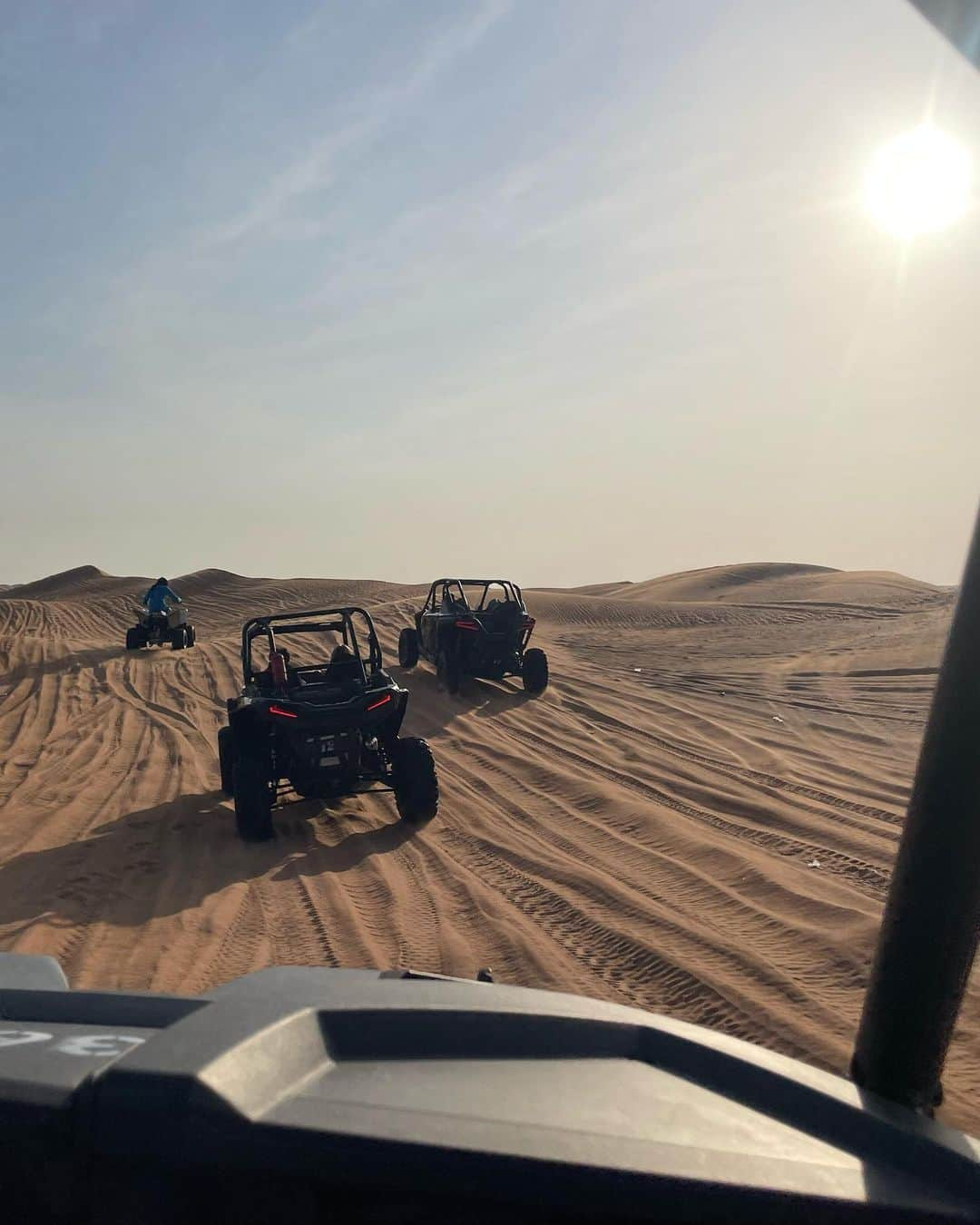 チョン・ジユさんのインスタグラム写真 - (チョン・ジユInstagram)「#🇦🇪 #🏜 #🦅 #🌵 #💃🏼」1月17日 0時57分 - xjiyux