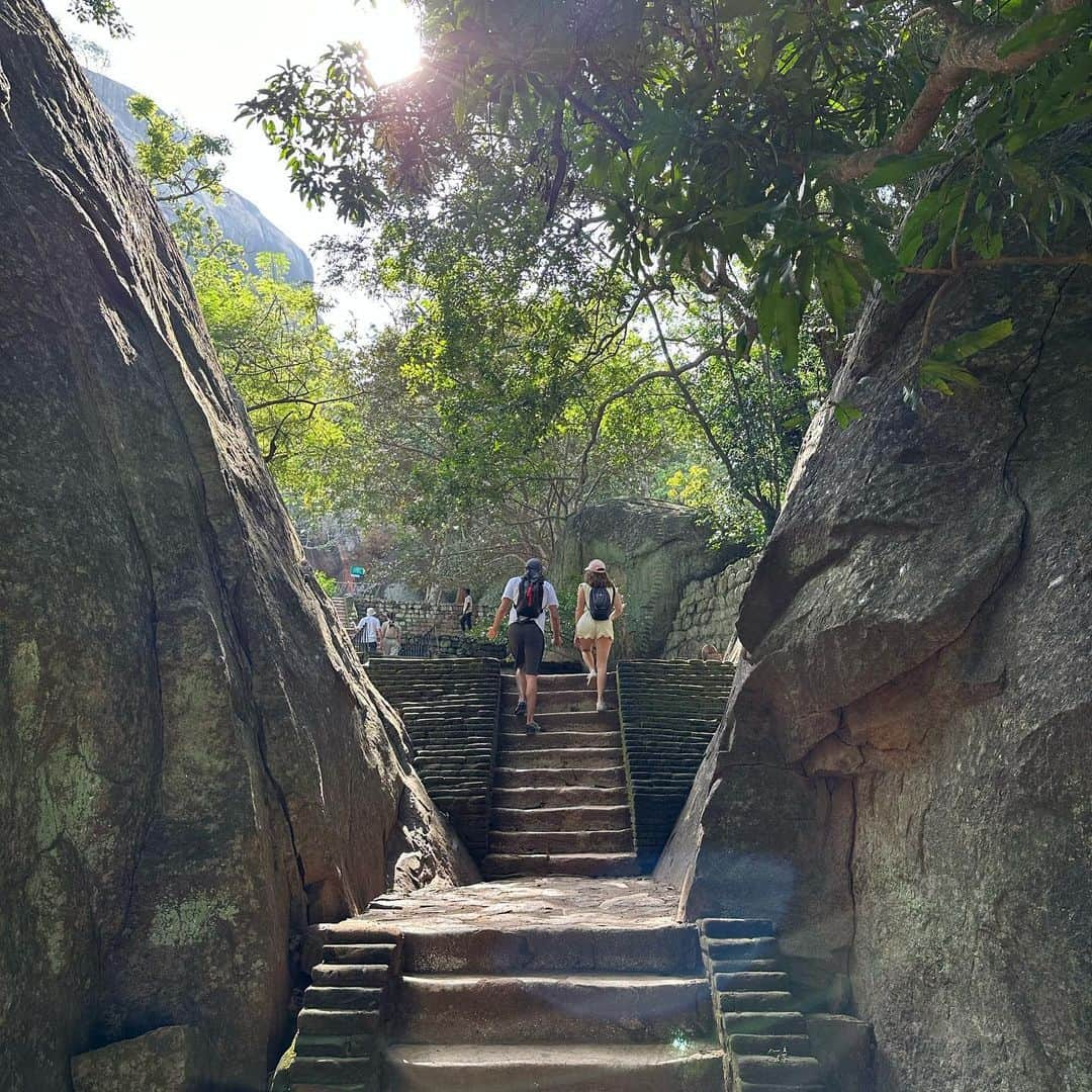 市原彩花さんのインスタグラム写真 - (市原彩花Instagram)「First time in Sri Lanka🇱🇰 📍Sigiriya Rock 38ヵ国目✈️スリランカ🇱🇰  世界遺産シーギリアロック🪨 ここにずーーっと来たかったの❣️ また一つ夢が叶った☺️  昔はこの巨大な岩の上にお城があったんだって😳 30分以上かけて世界遺産を登ったよ✌️ 帰りは2人とも膝ガクブルでした😂  スリランカは観光スポットが広く点在してて個人で旅行するのは大変&昔デモがあって不安だったからプライベートツアーを組んでくれる @srilankaby_michi にお願いしたよ😊 ガイドさんは日本語ペラペラの @kumaribalasuriya 、ドライバーさんも優しくて、私達の行きたいところ&オススメの場所に自由に連れてってくれてるよ🥳  スリランカツアー @srilankaby_michi  ツアー代表のミチちゃん @michi_1017  スリランカホームステイ @srilankabymichi_homestay   #srilanka#スリランカ#srilankatravel#srilankatrip#スリランカ旅行#スリランカ観光#スリランカ旅行記#シーギリヤロック#シギリヤロック#sigiriya#sigiriyarock#世界遺産#worldheritage#海外旅行 #あーちゃんスリランカ」1月17日 13時30分 - ayaka_ichihara