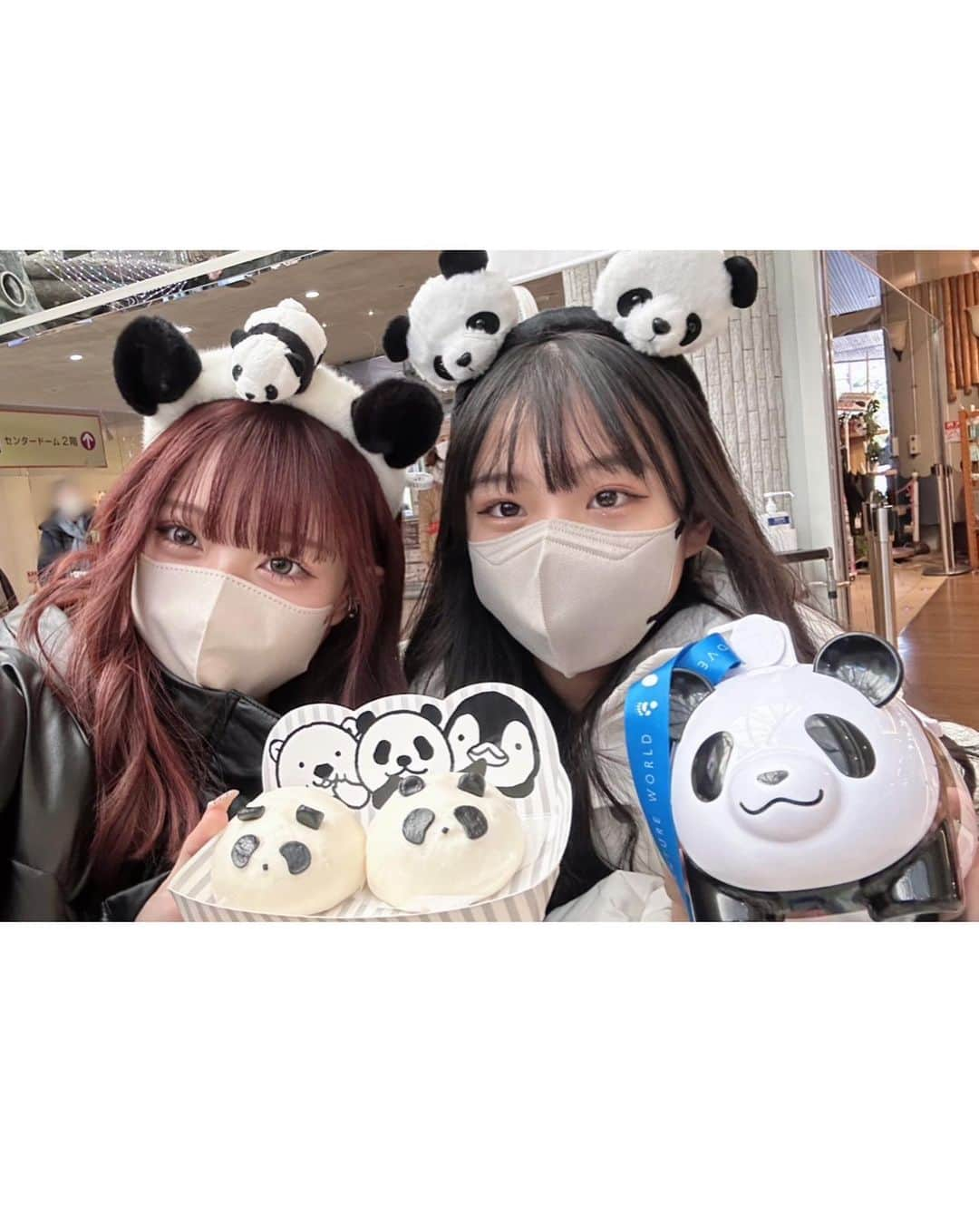 MINAMIさんのインスタグラム写真 - (MINAMIInstagram)「. るいかと2日間和歌山県楽しめたよ～👍🏻 まだ動画見てない方は是非見てくださいな🐼 和歌山県3150～～～～～ . . . #和歌山県  #vlogtiktok  #白良浜  #アドベンチャーワールド」1月17日 19時44分 - mimi.minami.mimi