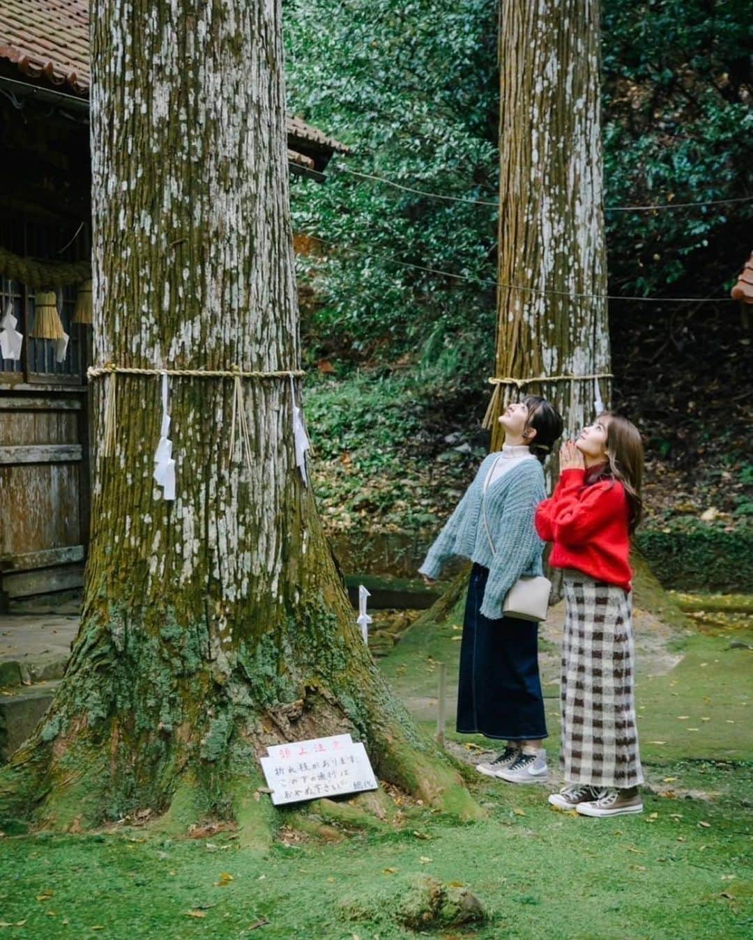 畠中清羅 さんのインスタグラム写真 - (畠中清羅 Instagram)「島根県石見へ行った時の🌿  いろんな場所を巡って素敵な場所に出会えて まだまだ見れてない世界が沢山あるなぁと改めて🥹  . .  人麿呂の 歌を真似して ラブソング　 口ずさんでみる 鴨島の跡  @koi_iwamitabi ①「Instagram」でキャンペーン公式アカウント「@koi_iwamitabi」をフォロー、 または「Twitter」で、「なつかしの国石見（@shimane_iwami）」をフォロー ②撮影した写真を下記のハッシュタグをつけて投稿 　#恋する石見たび 　#なつかしの国石見 ③投稿の際に撮影場所、コメントを記載（「五・七・五・七・七」の短歌形式）  皆さんも是非投稿してみてください🥰」1月18日 16時07分 - seira_hatanaka